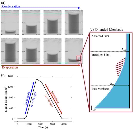 (a) Selected neutron images from the Hydrogen 10 mm Al test cell [36]. (b) The change in liquid volume as a function of time was used to calculate the total evaporation rate [36]. (c) Three regions of the liquid-vapor are delineated as a function of film thickness, h. The transition thin film region near the solid wall experiences high evaporation fluxes.