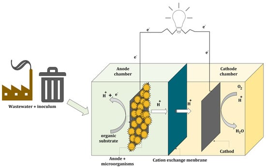 Schematic diagram of a dual-chambered microbial fuel cell.