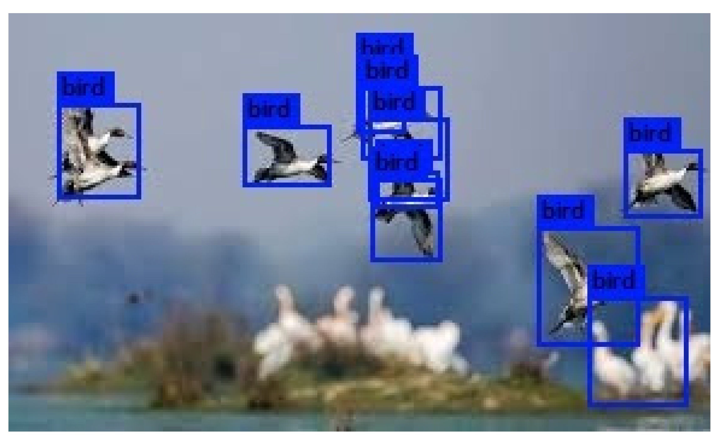 Futureinternet 13 00307 g019