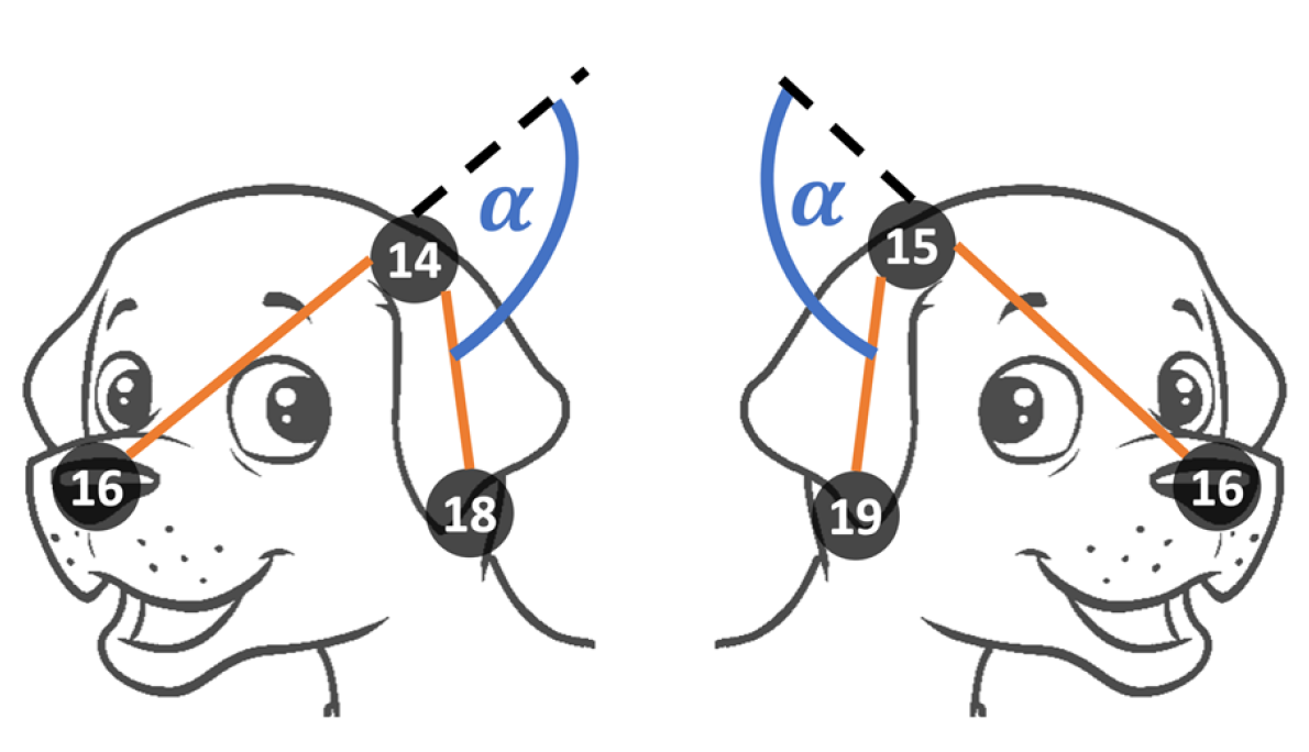 Futureinternet 14 00097 g006