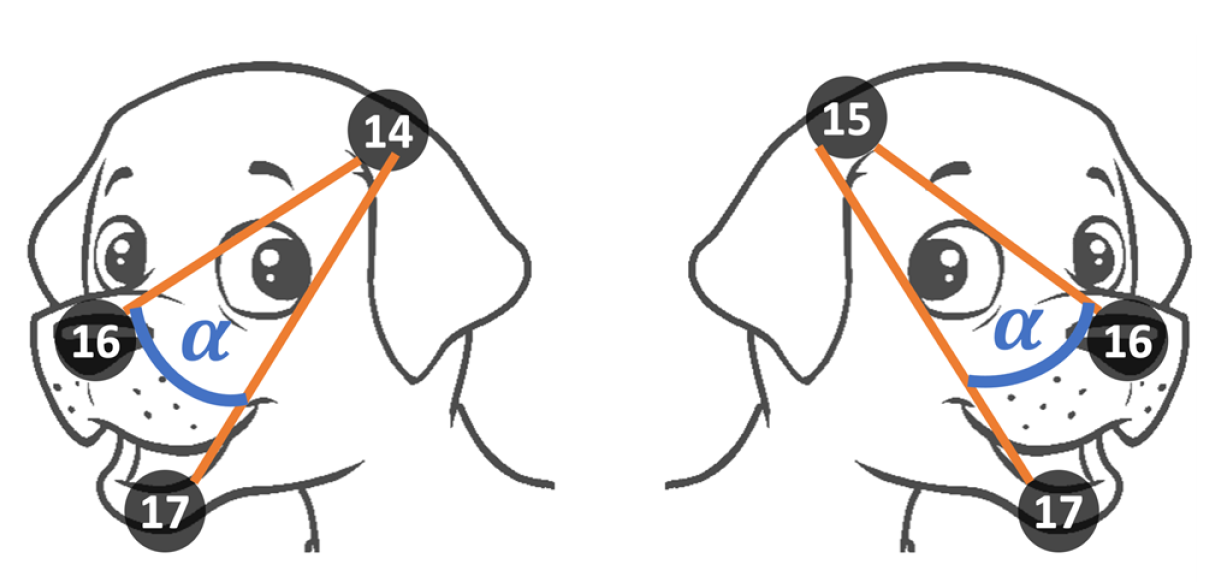 Futureinternet 14 00097 g007