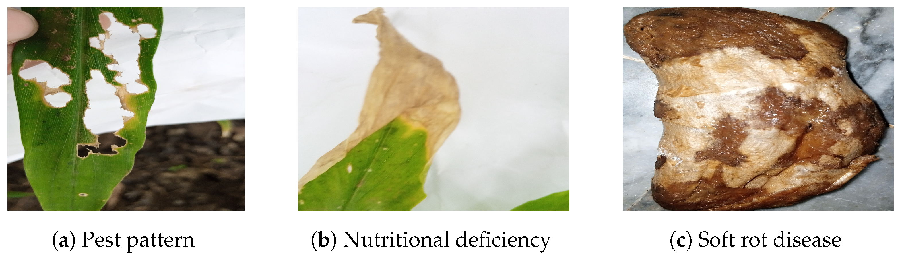 Futureinternet 15 00086 g004