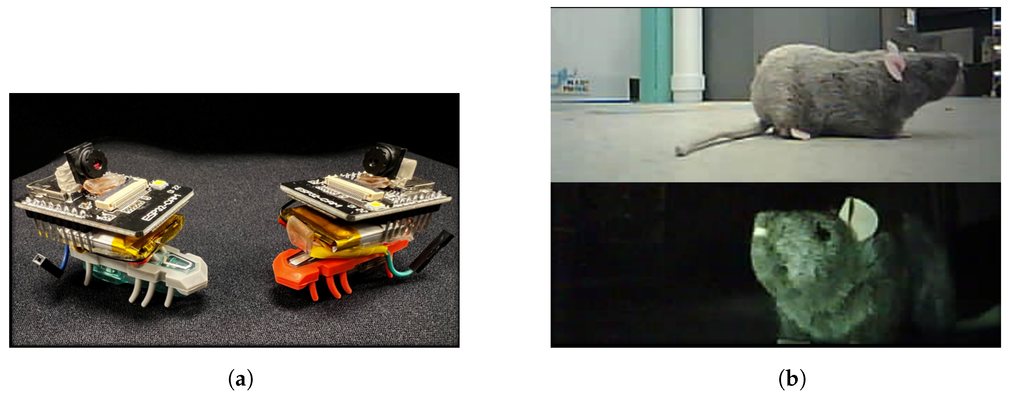 Futureinternet 16 00170 g019