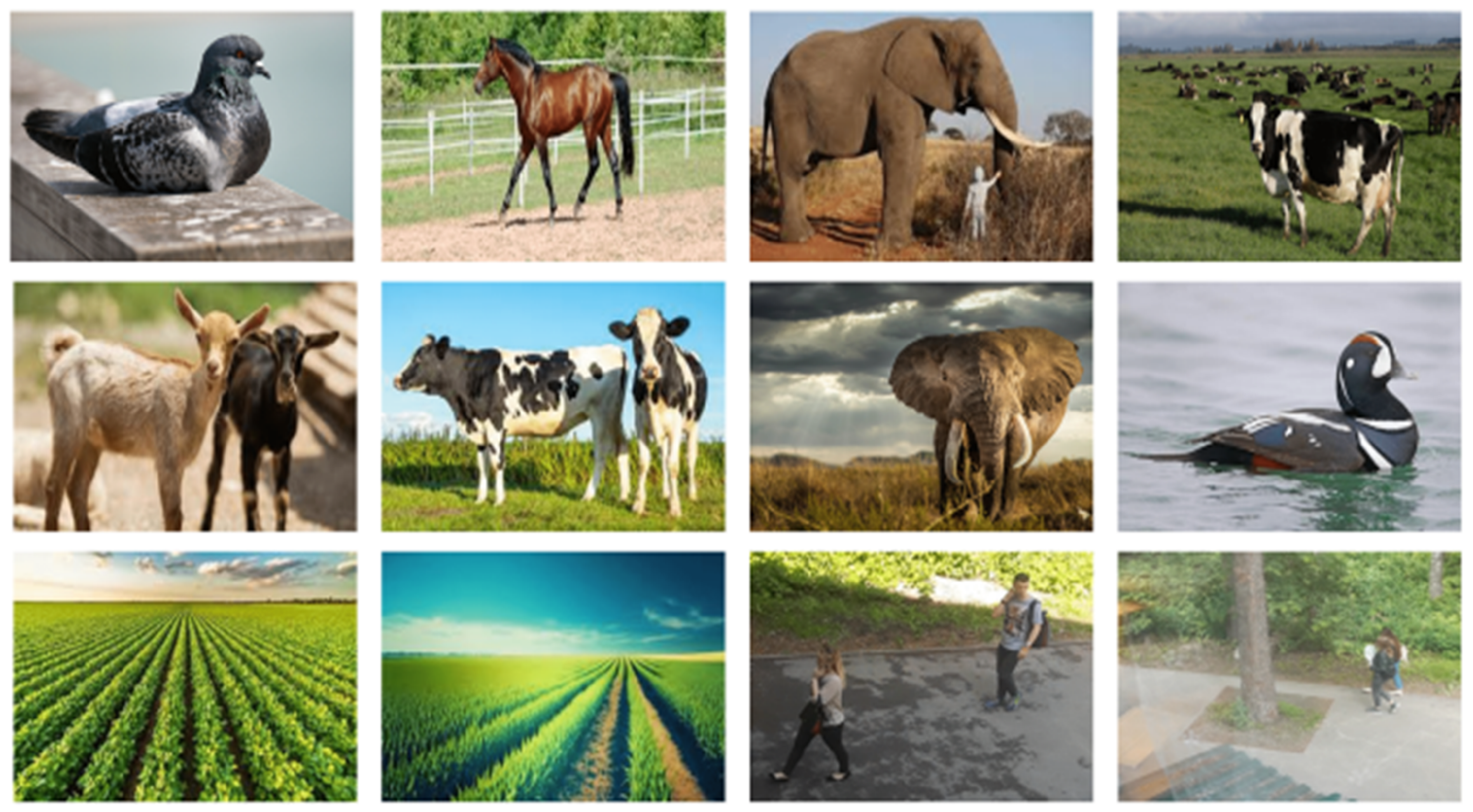 Futureinternet 17 00070 g004