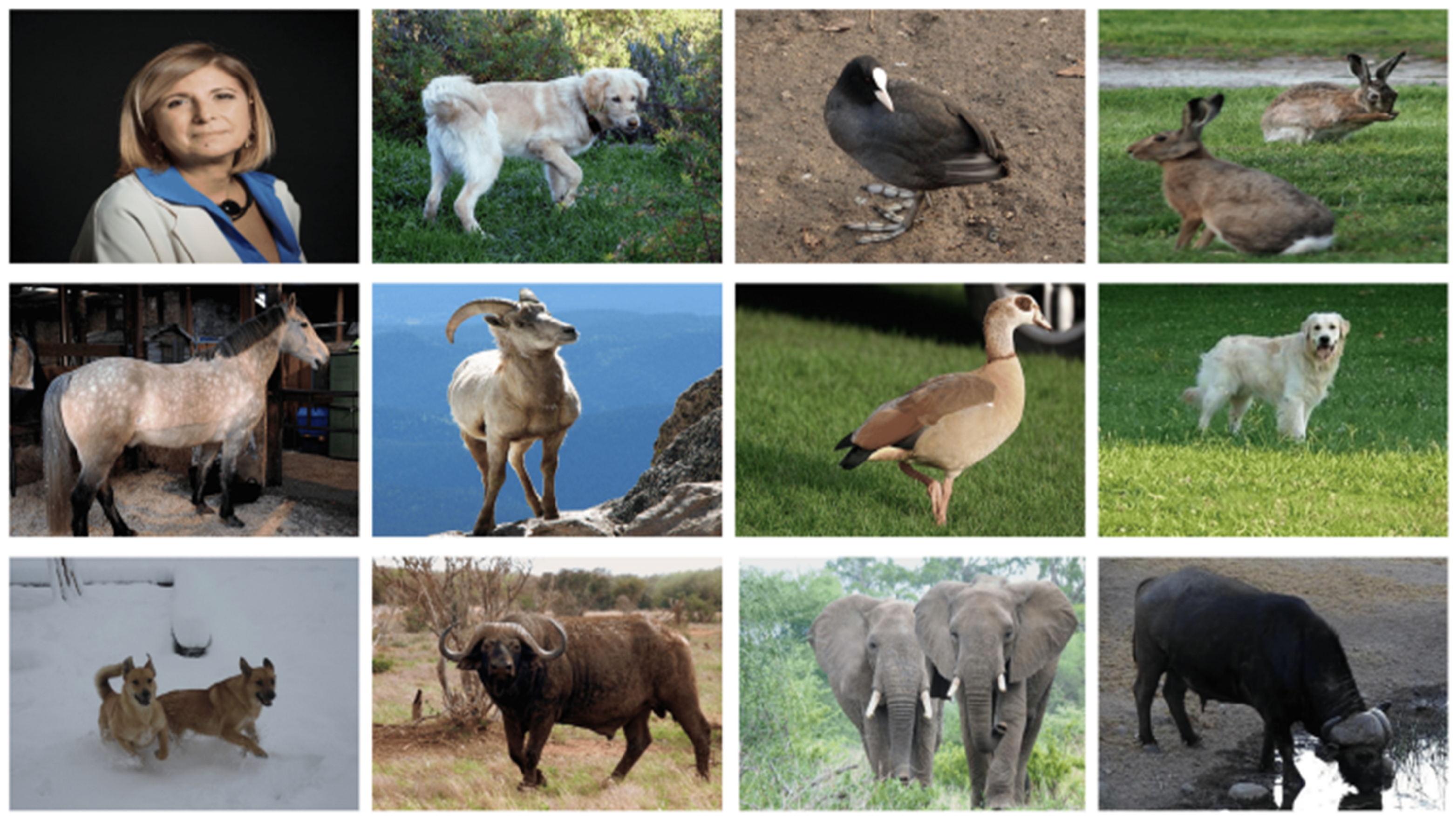 Futureinternet 17 00070 g005