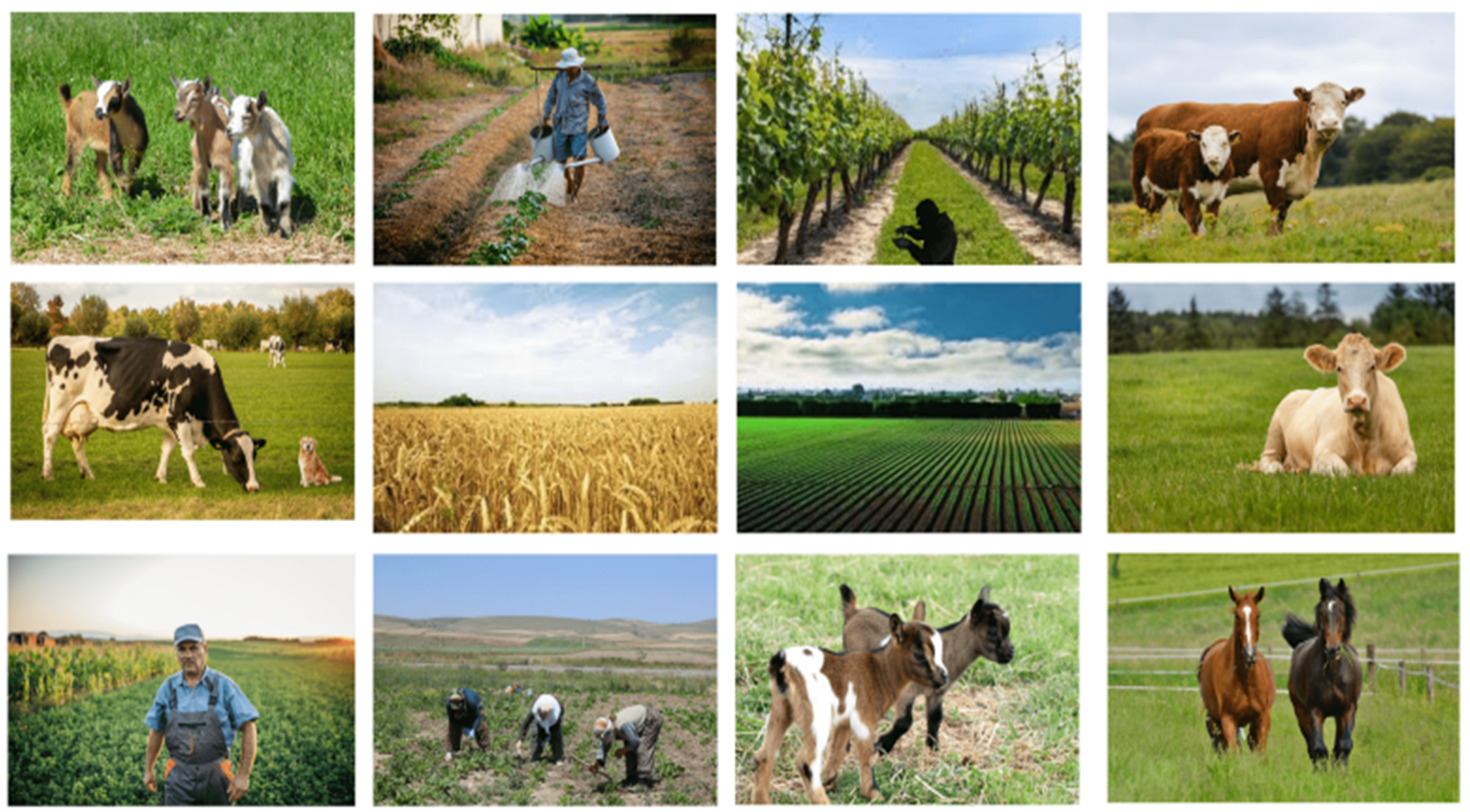 Futureinternet 17 00070 g006