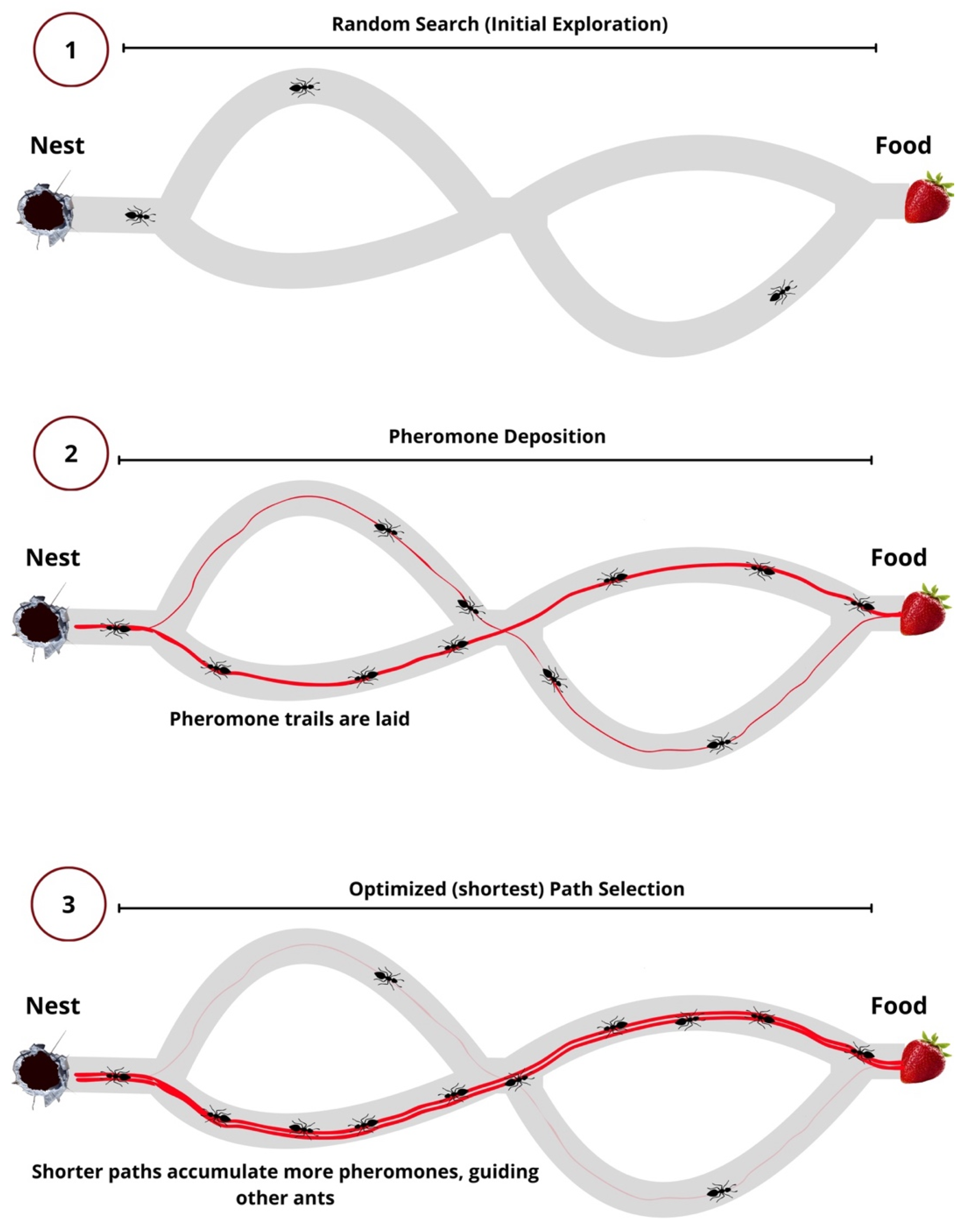 Futureinternet 17 00211 g003