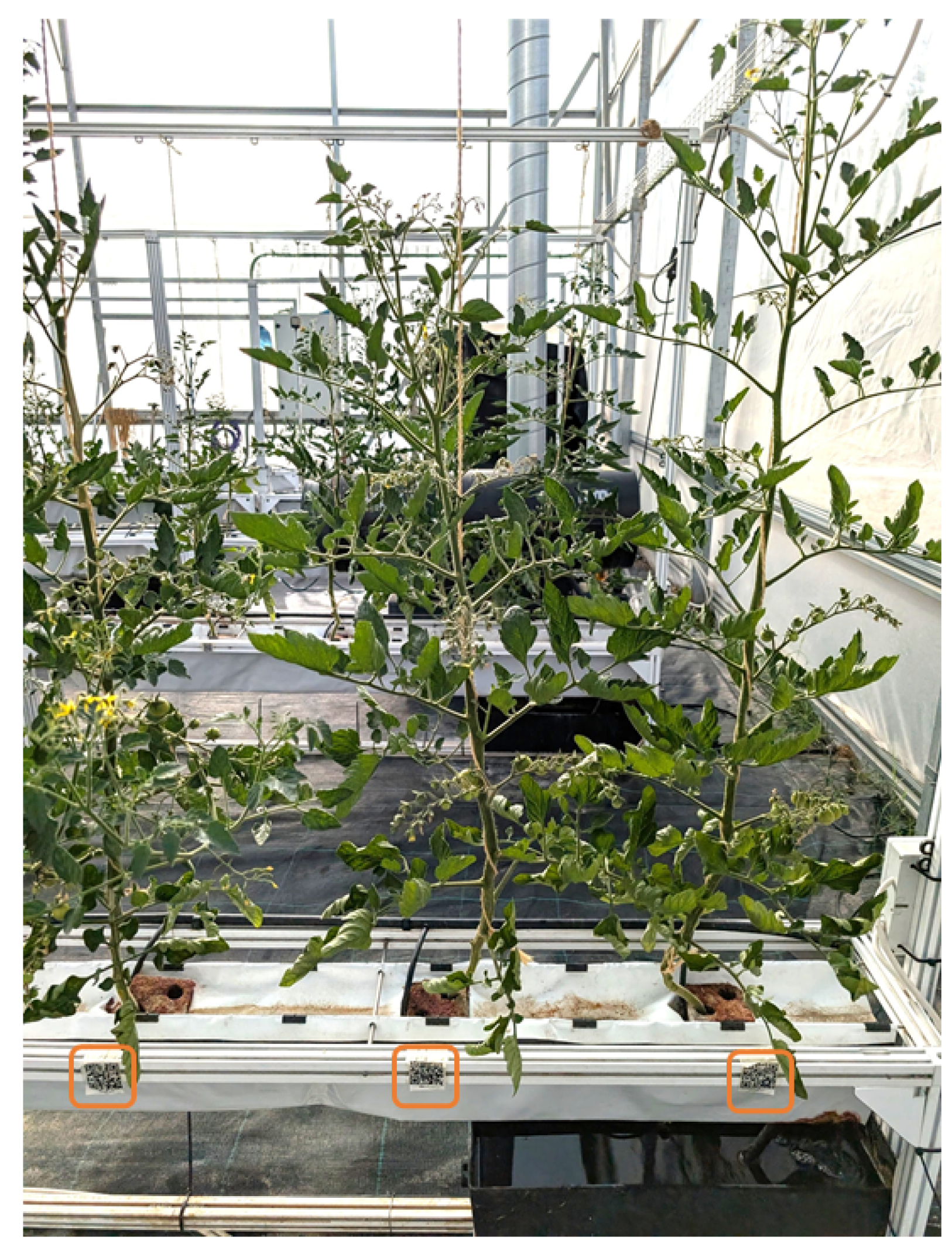 Futureinternet 17 00347 g003