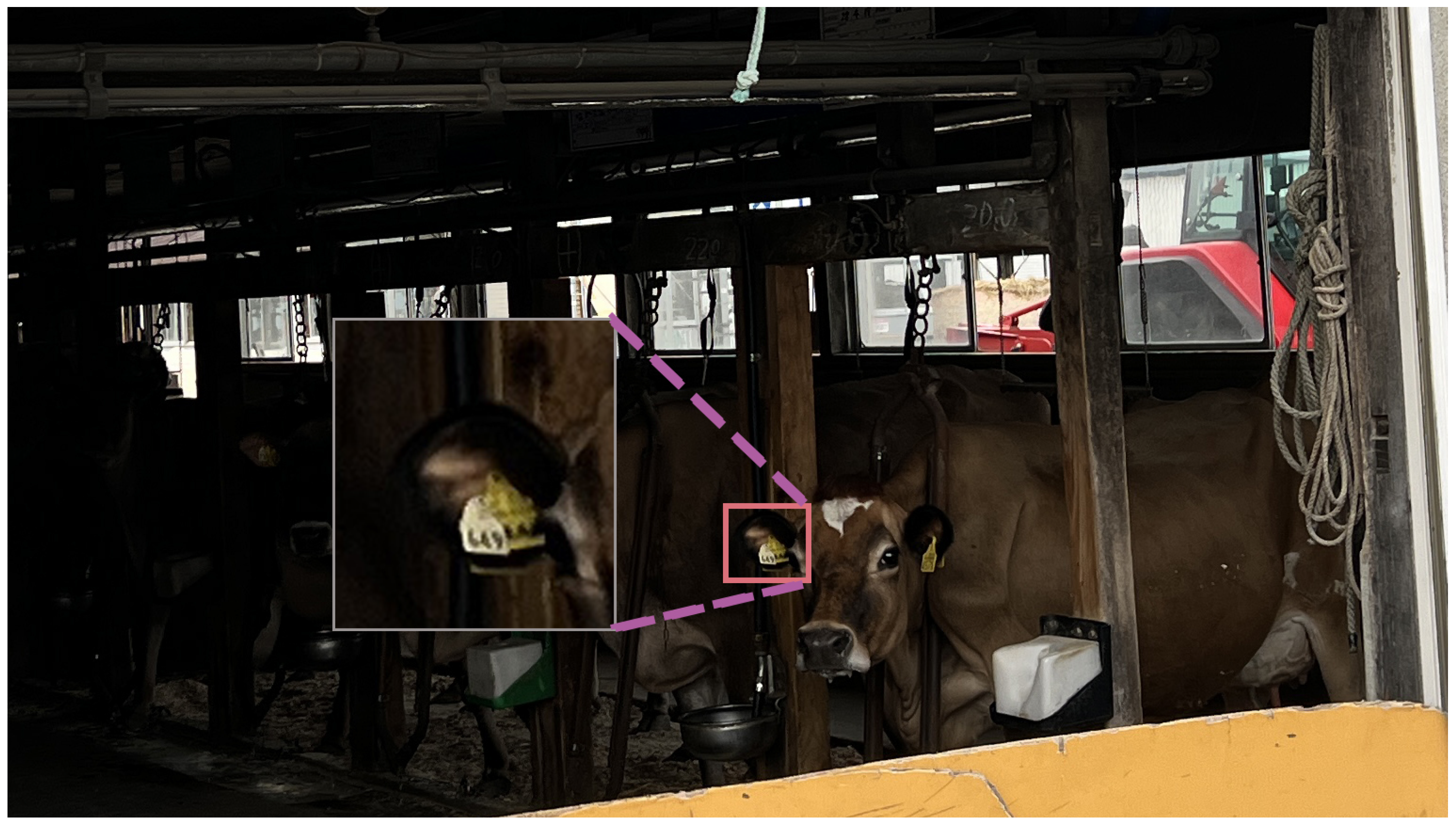 Futureinternet 18 00111 g001