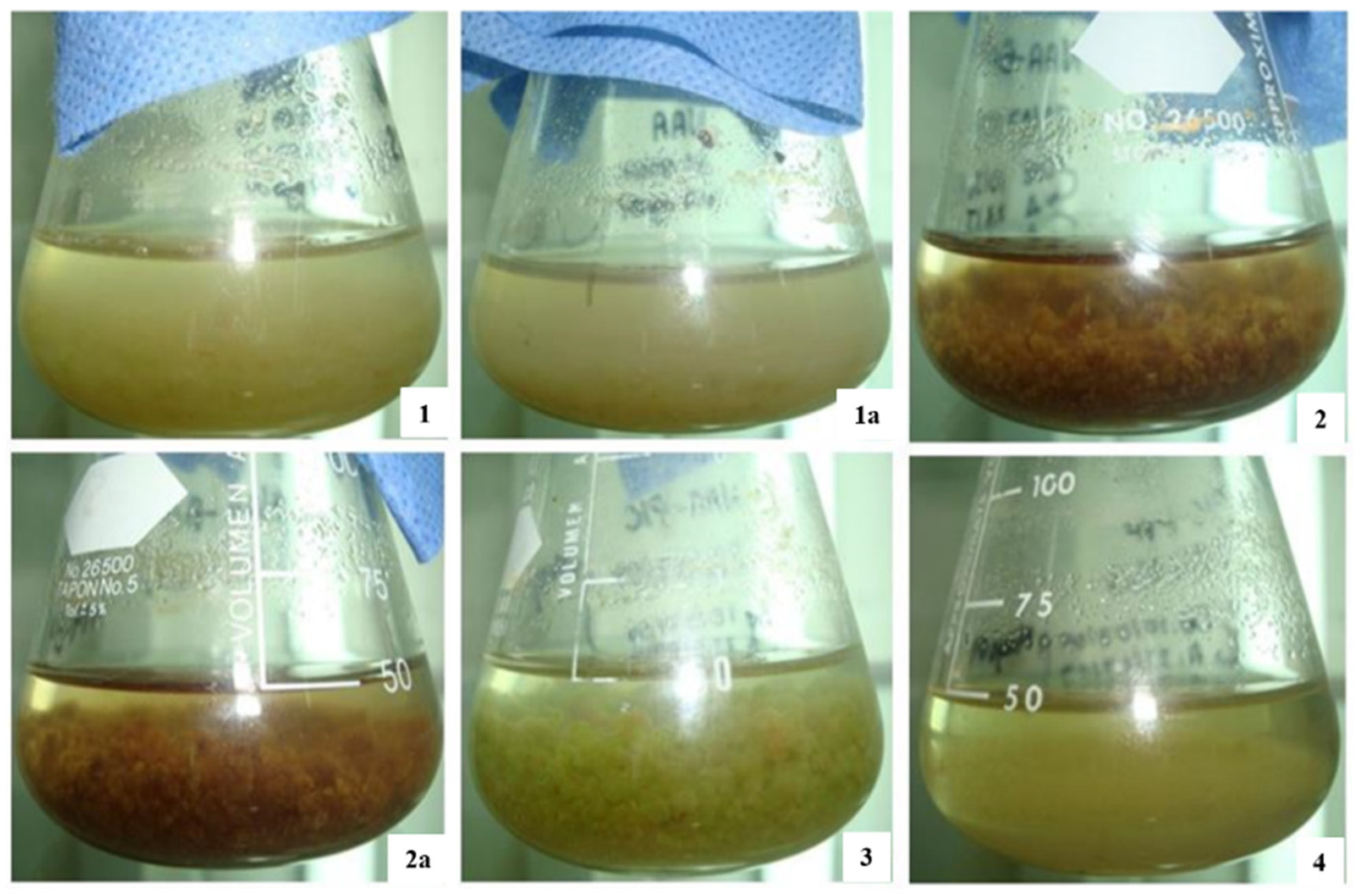 Futurepharmacol 02 00004 g001
