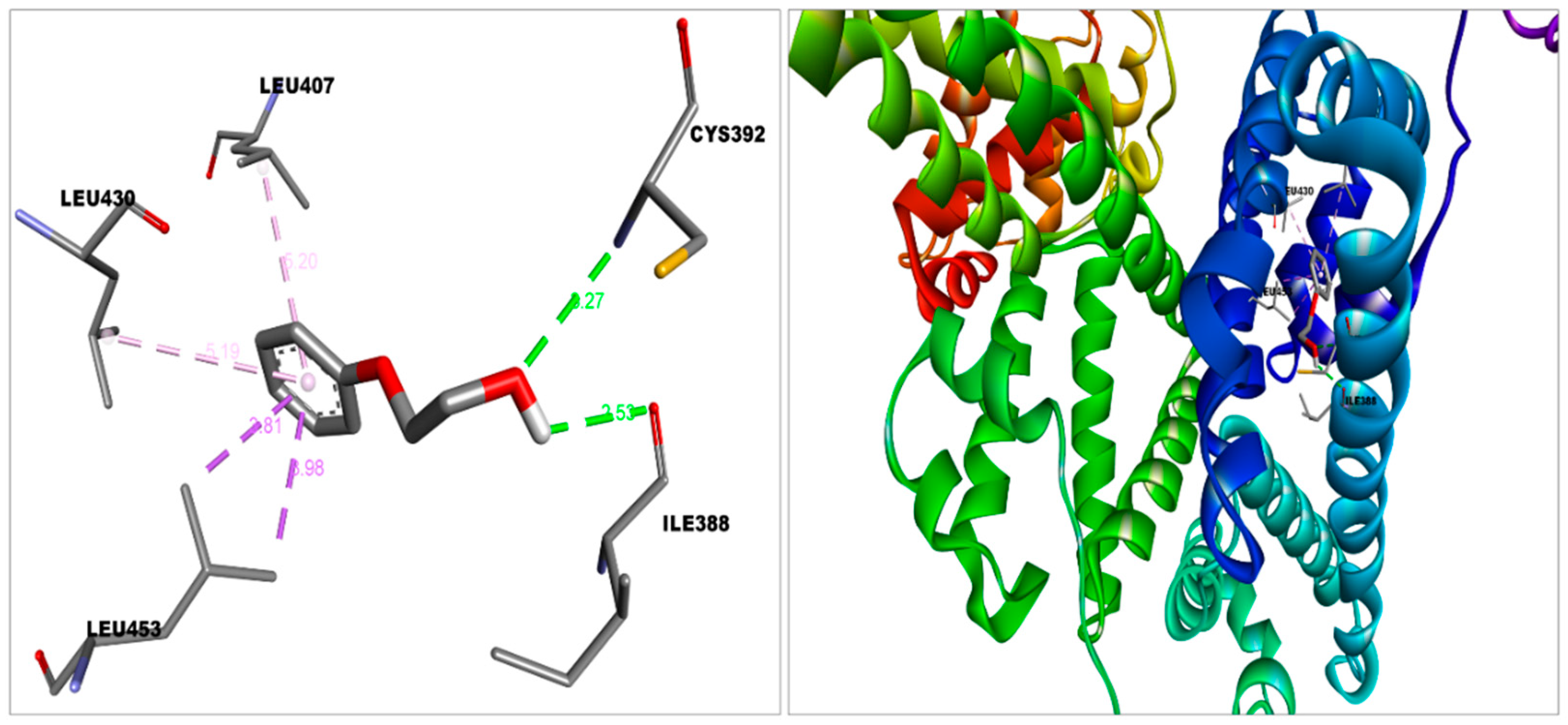 Futurepharmacol 02 00021 g004