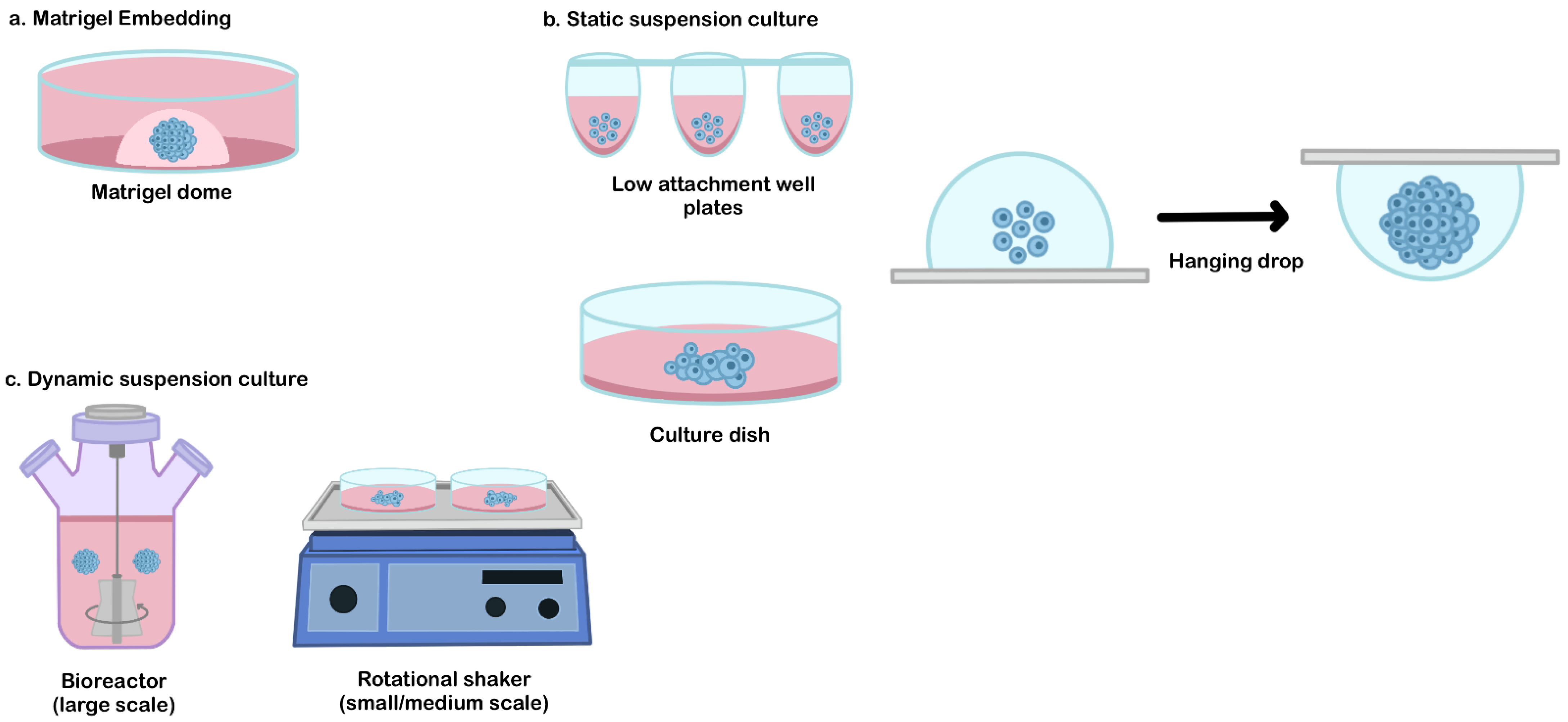 Futurepharmacol 02 00025 g002