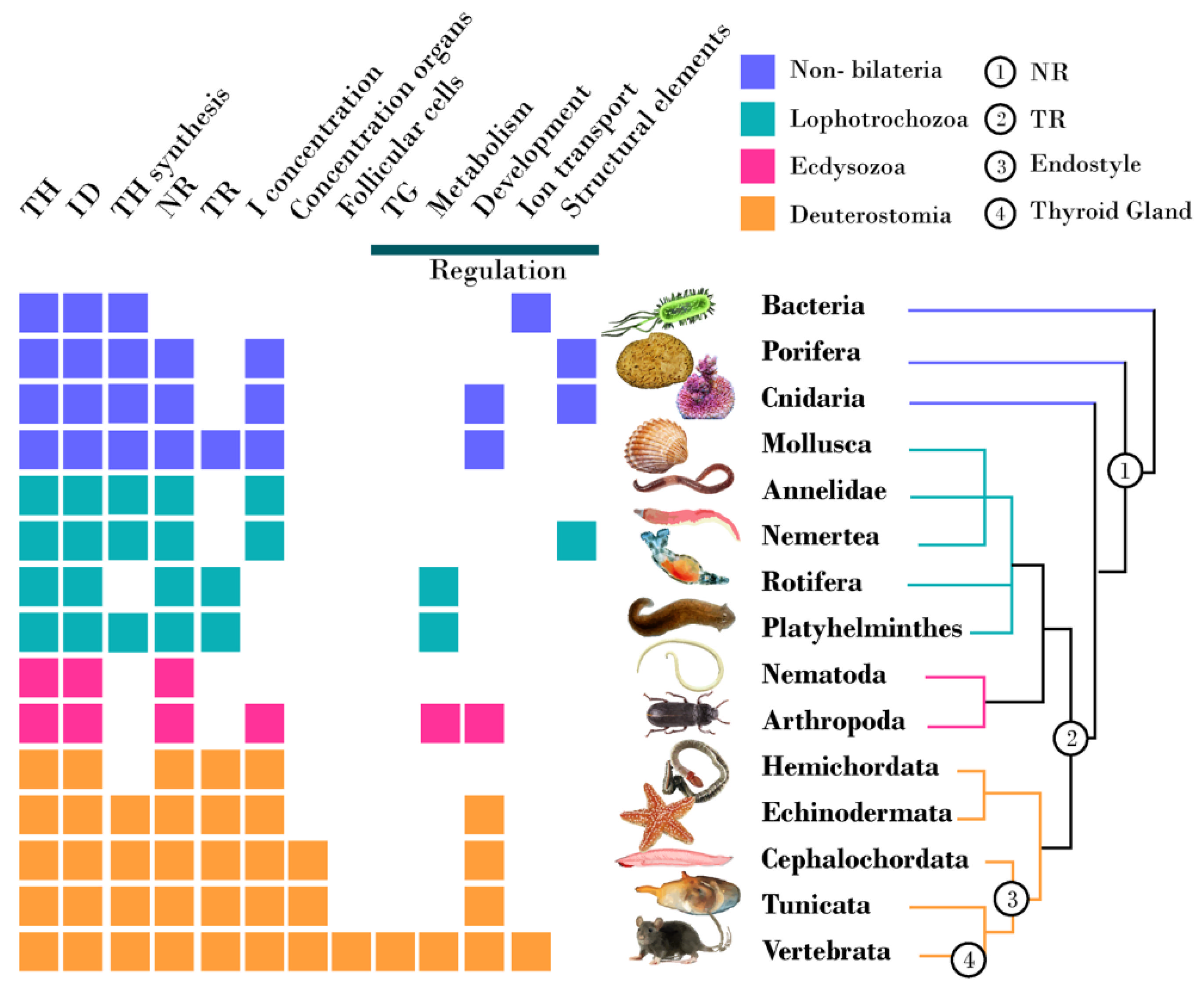Futurepharmacol 02 00026 g004 Futurepharmacol 02 00026 g004