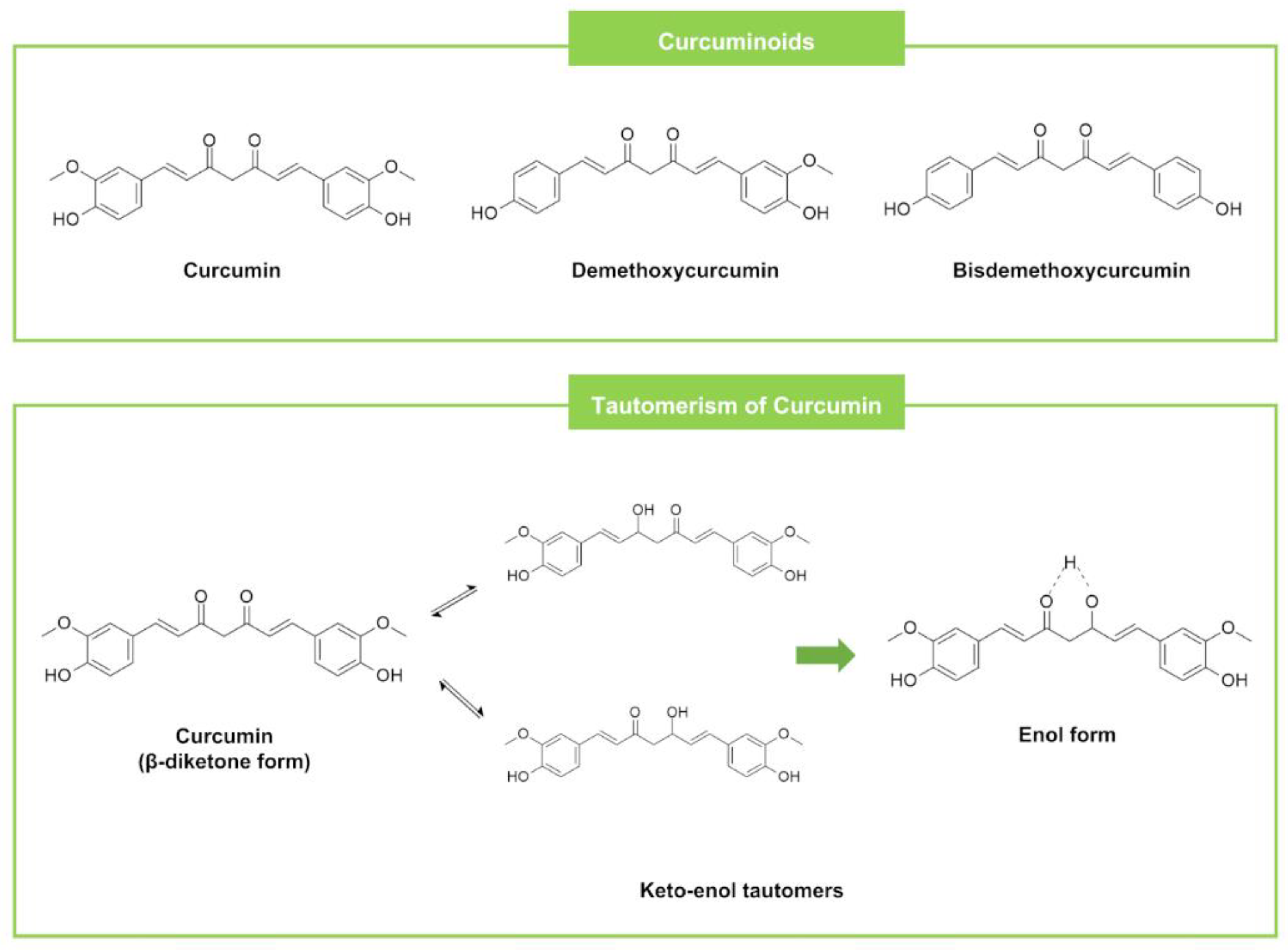 Futurepharmacol 02 00030 g008