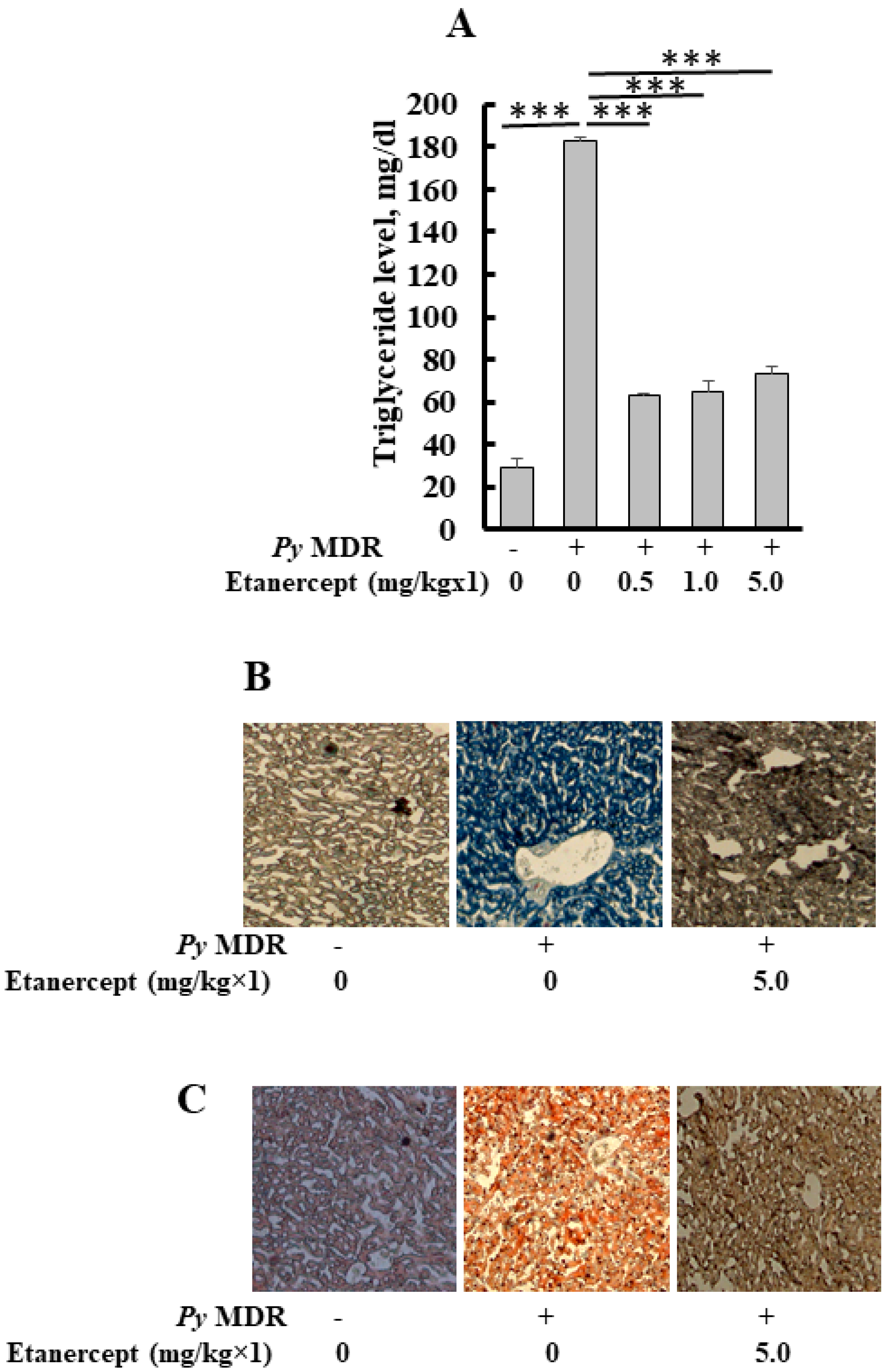 Futurepharmacol 02 00031 g003