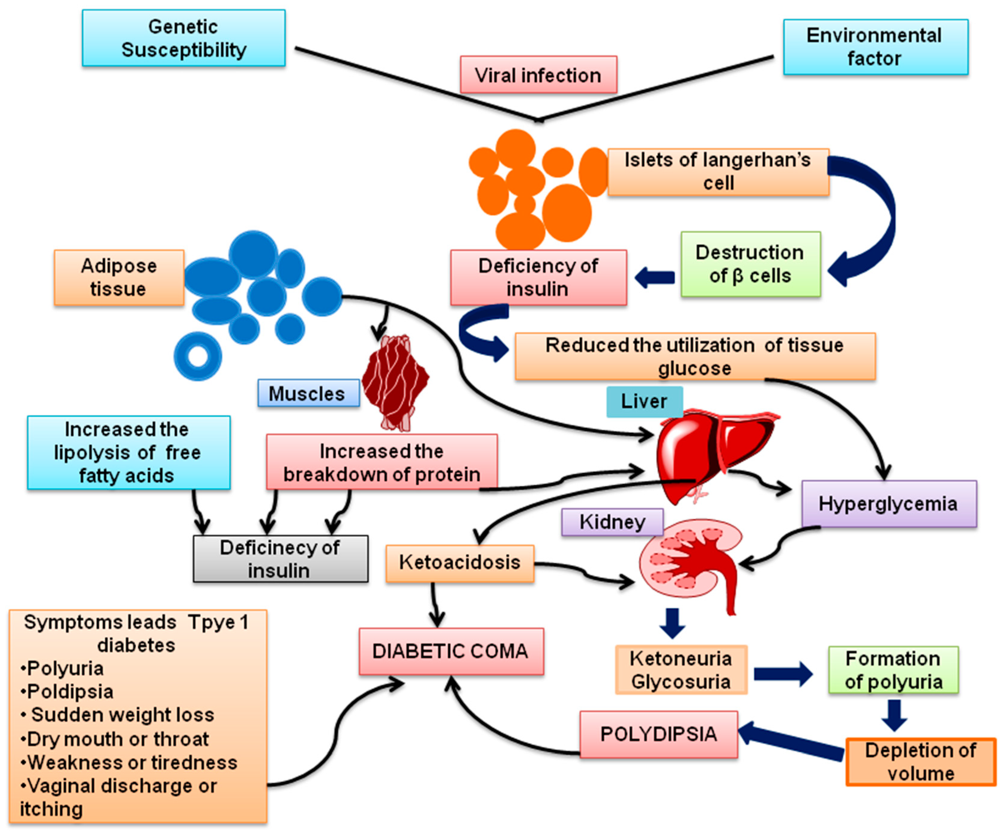 Futurepharmacol 02 00032 g002