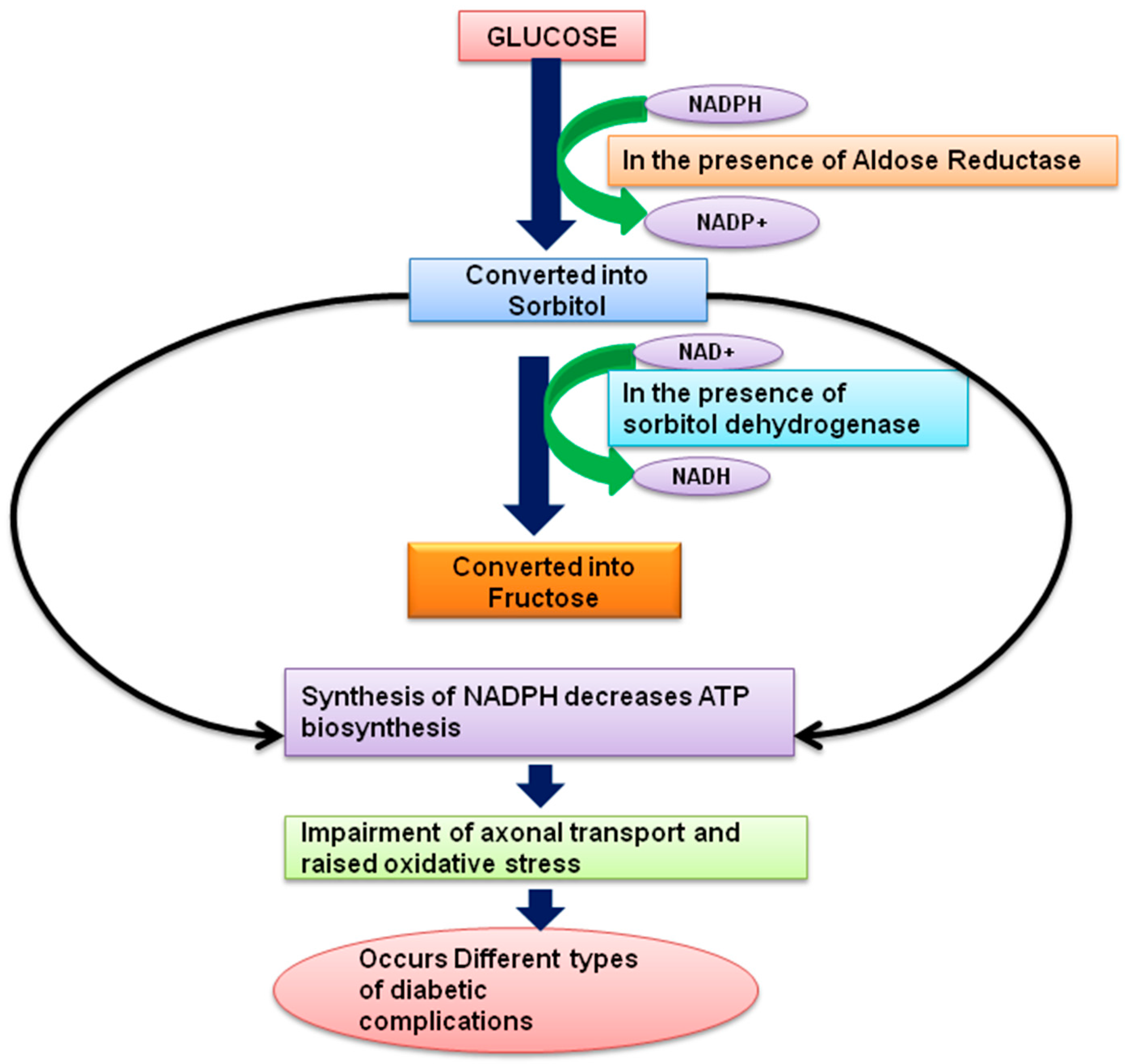 Futurepharmacol 02 00032 g004