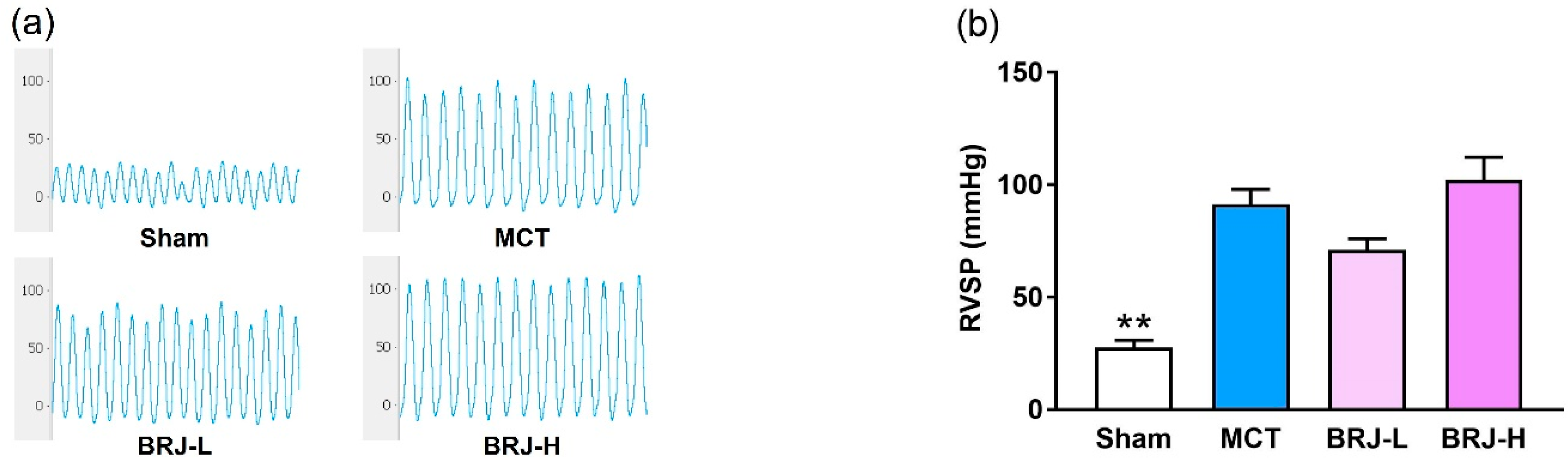 Futurepharmacol 02 00033 g002