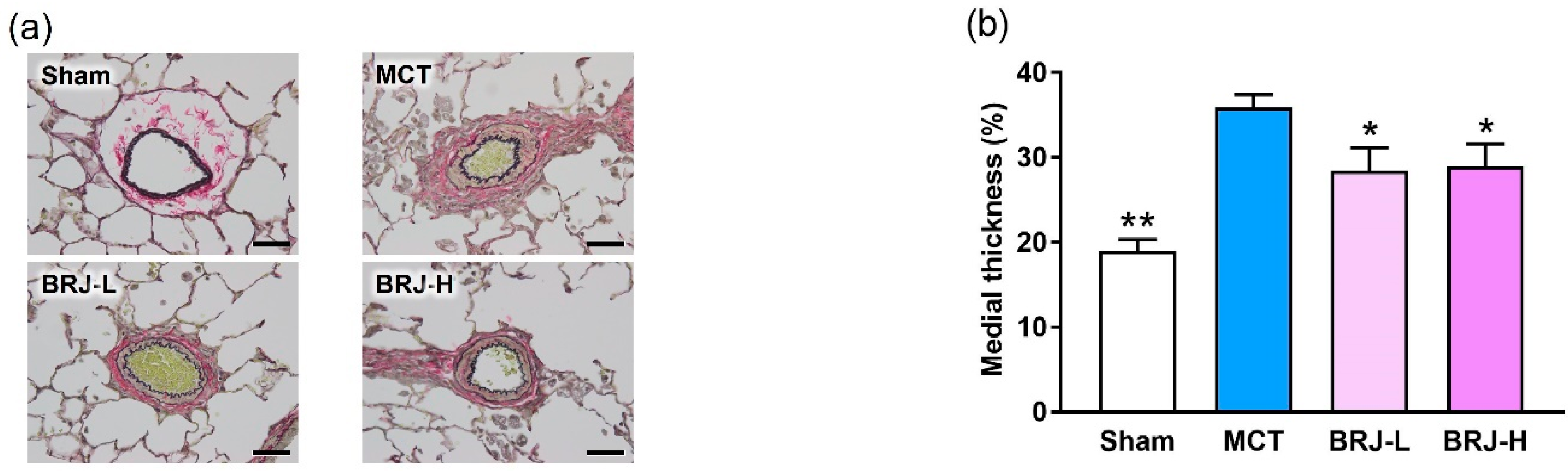 Futurepharmacol 02 00033 g003