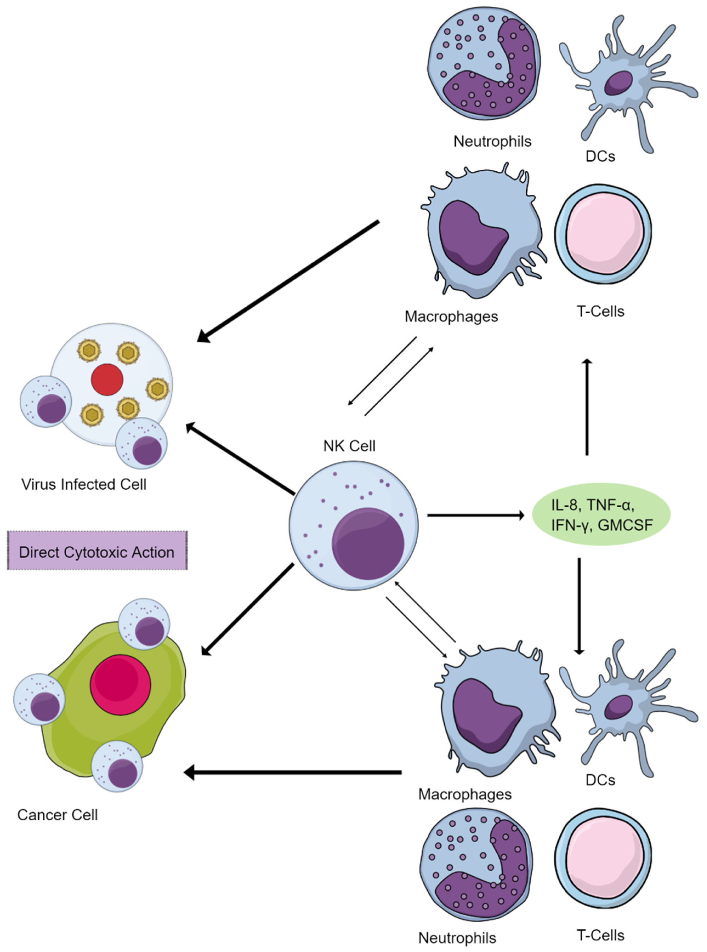 Futurepharmacol 02 00039 g001