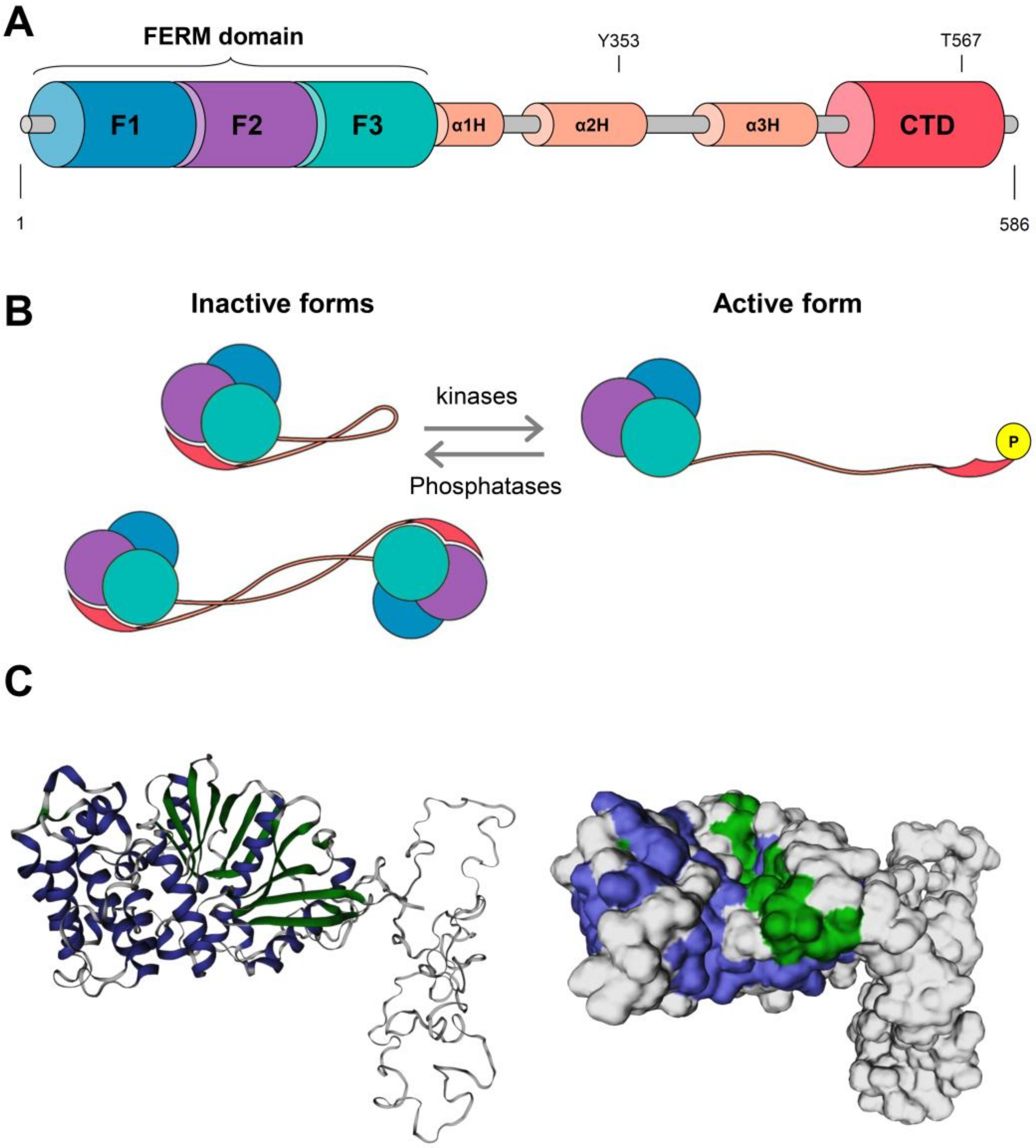 Futurepharmacol 03 00005 g002