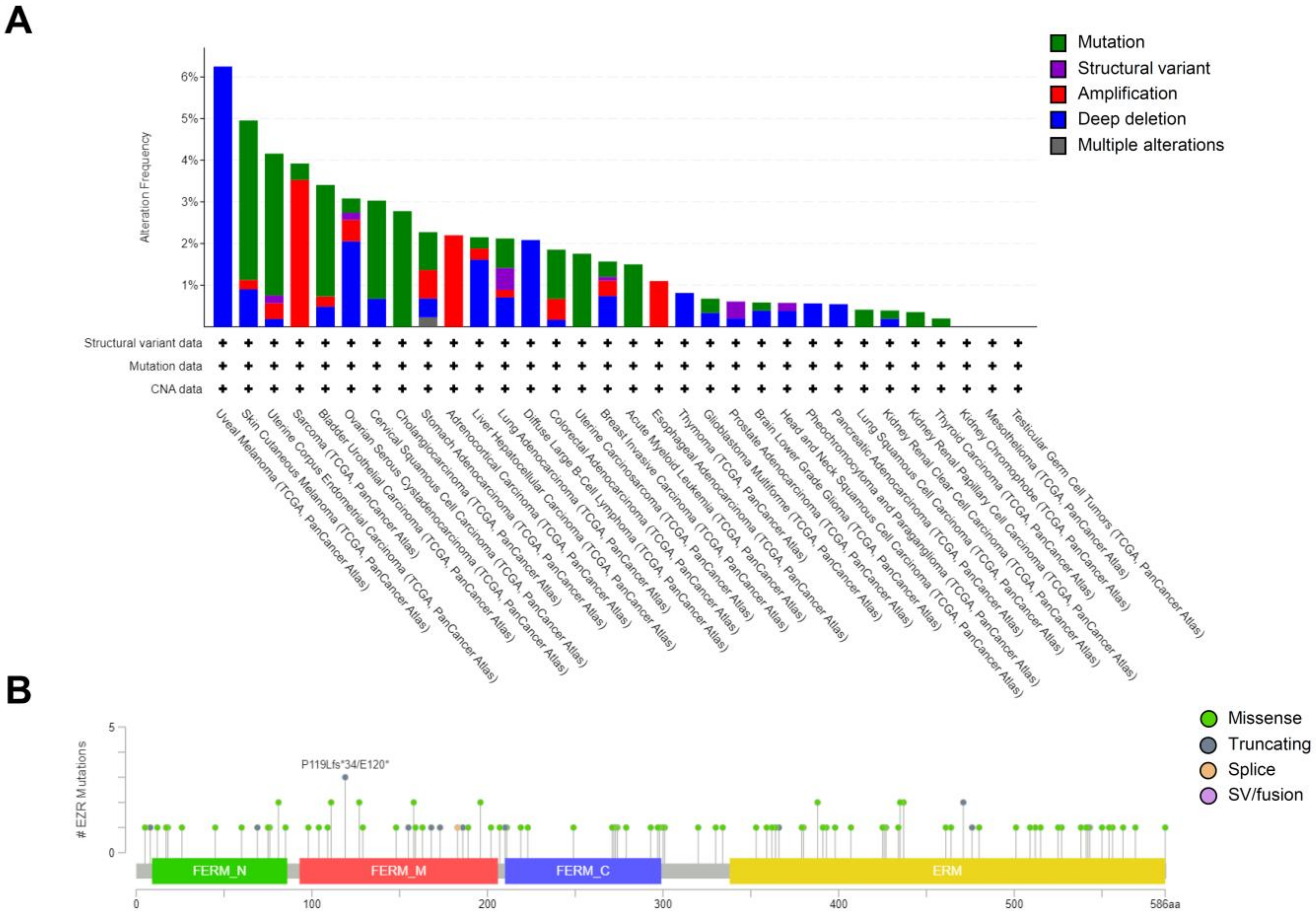 Futurepharmacol 03 00005 g003