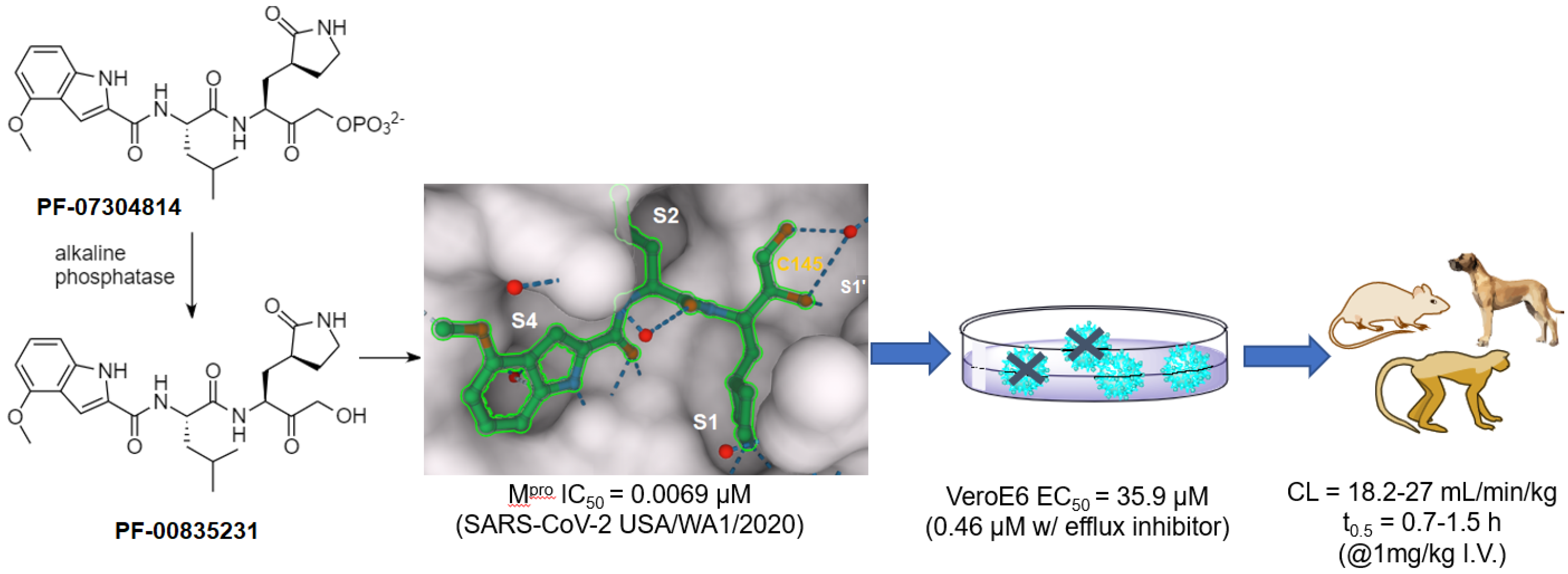 Futurepharmacol 03 00006 g004