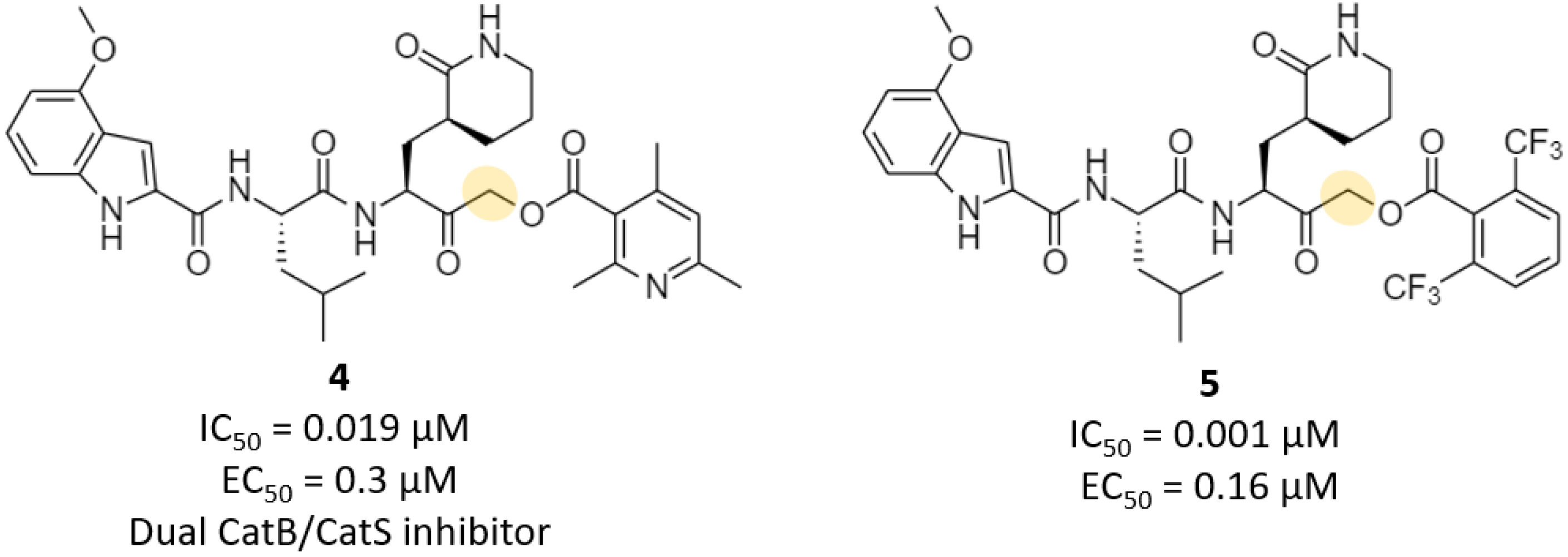 Futurepharmacol 03 00006 g005