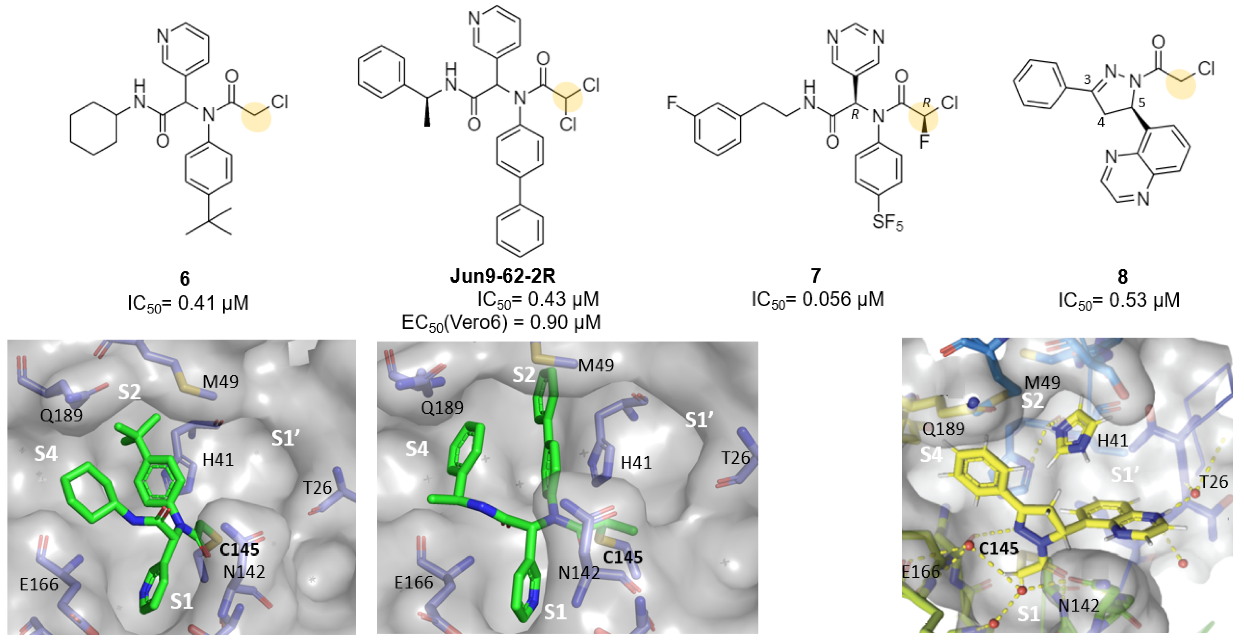 Futurepharmacol 03 00006 g006