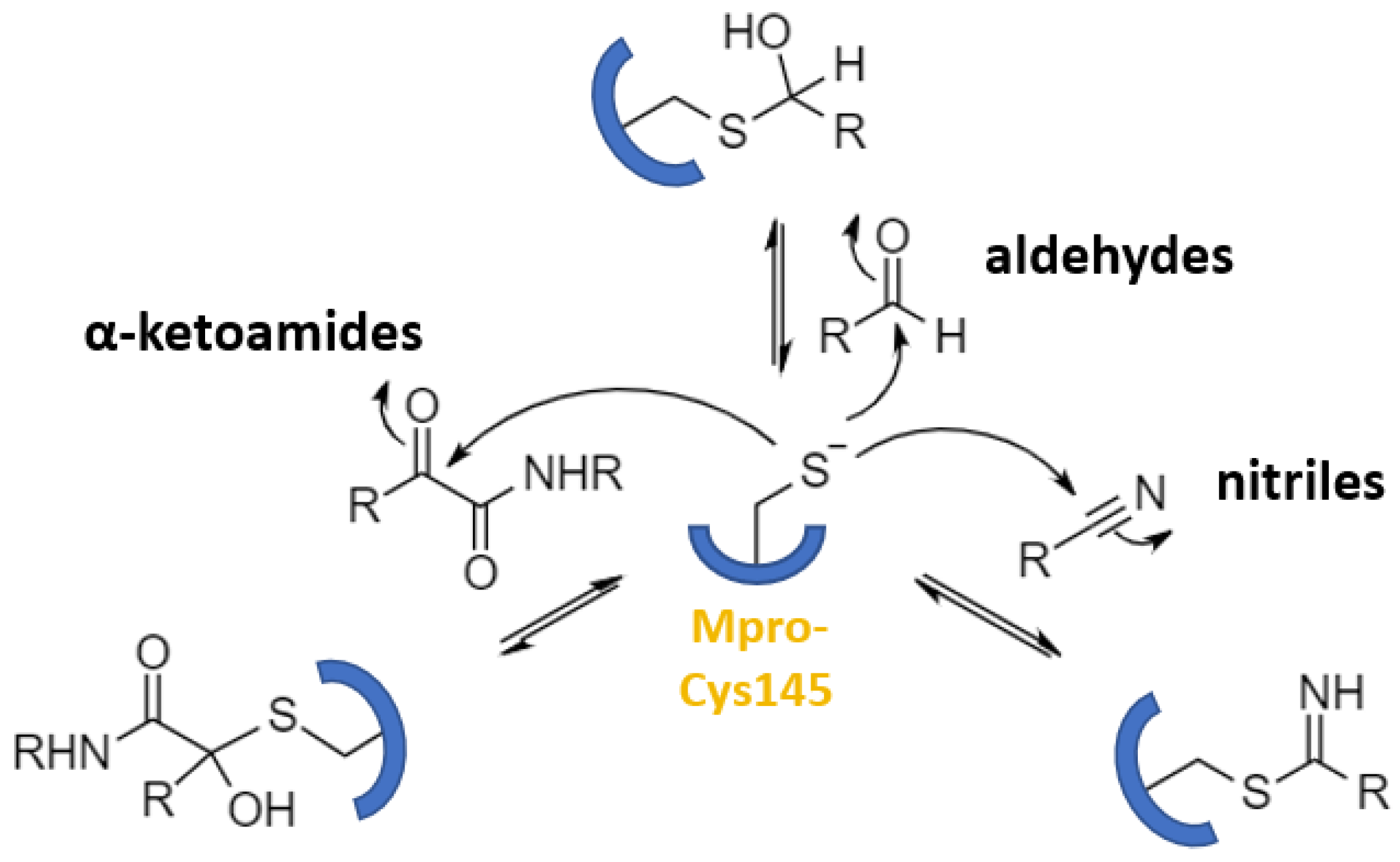 Futurepharmacol 03 00006 g009