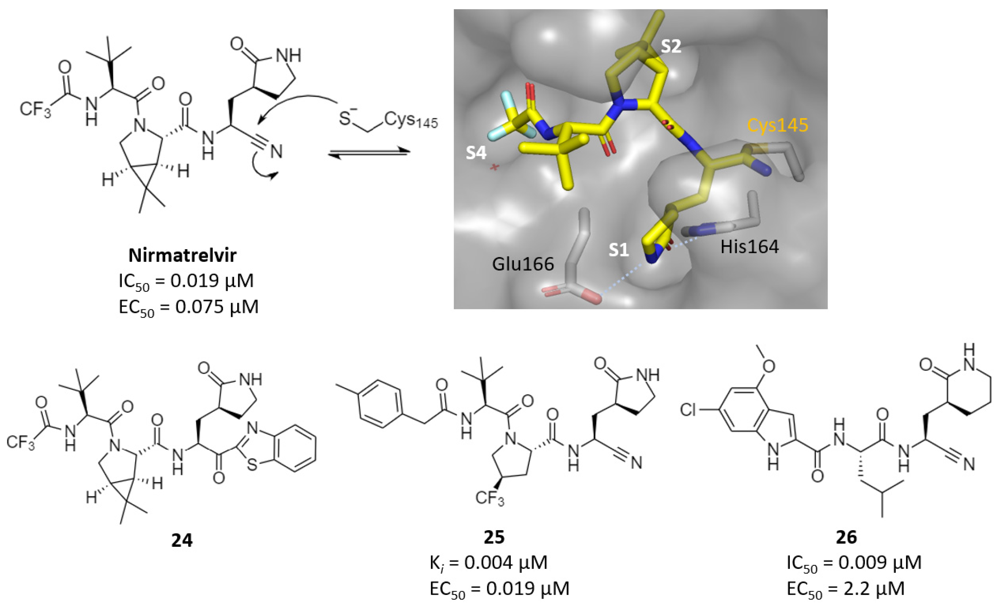 Futurepharmacol 03 00006 g012
