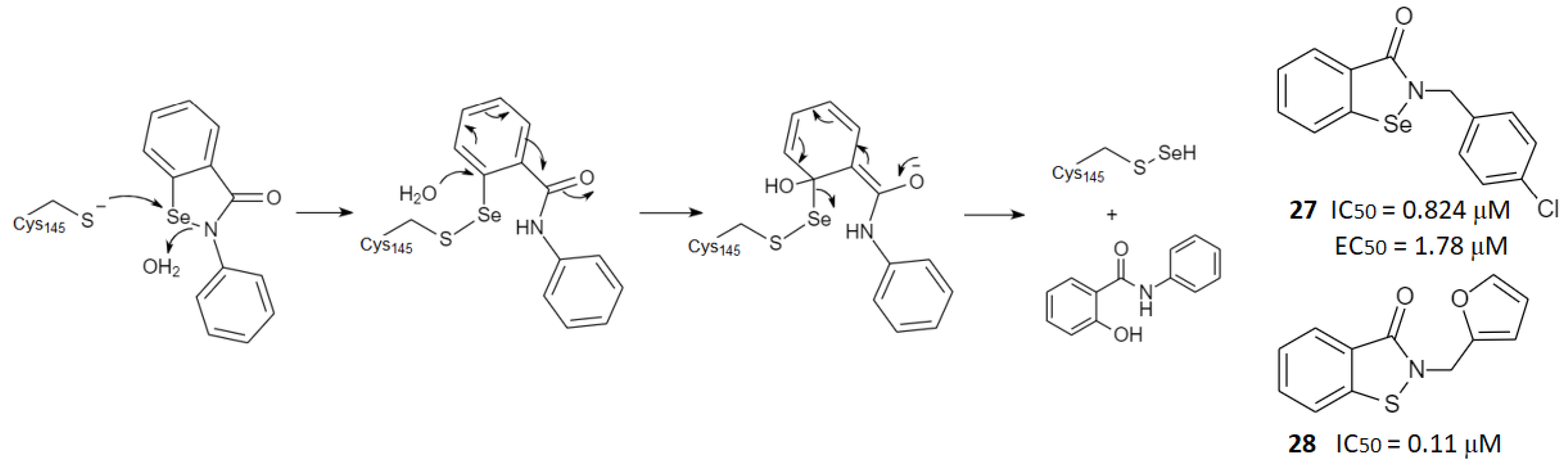 Futurepharmacol 03 00006 g013