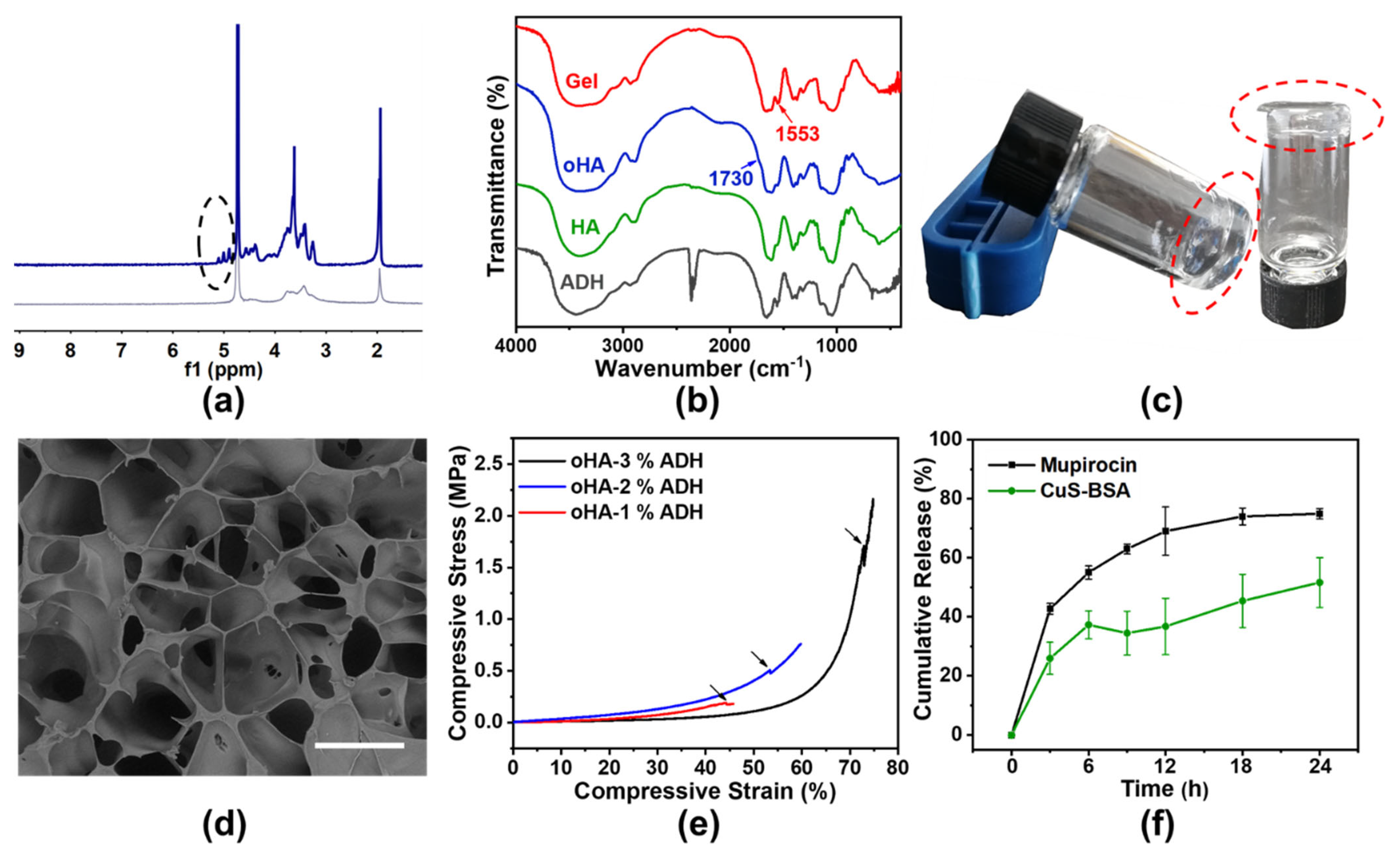 Futurepharmacol 03 00013 g003