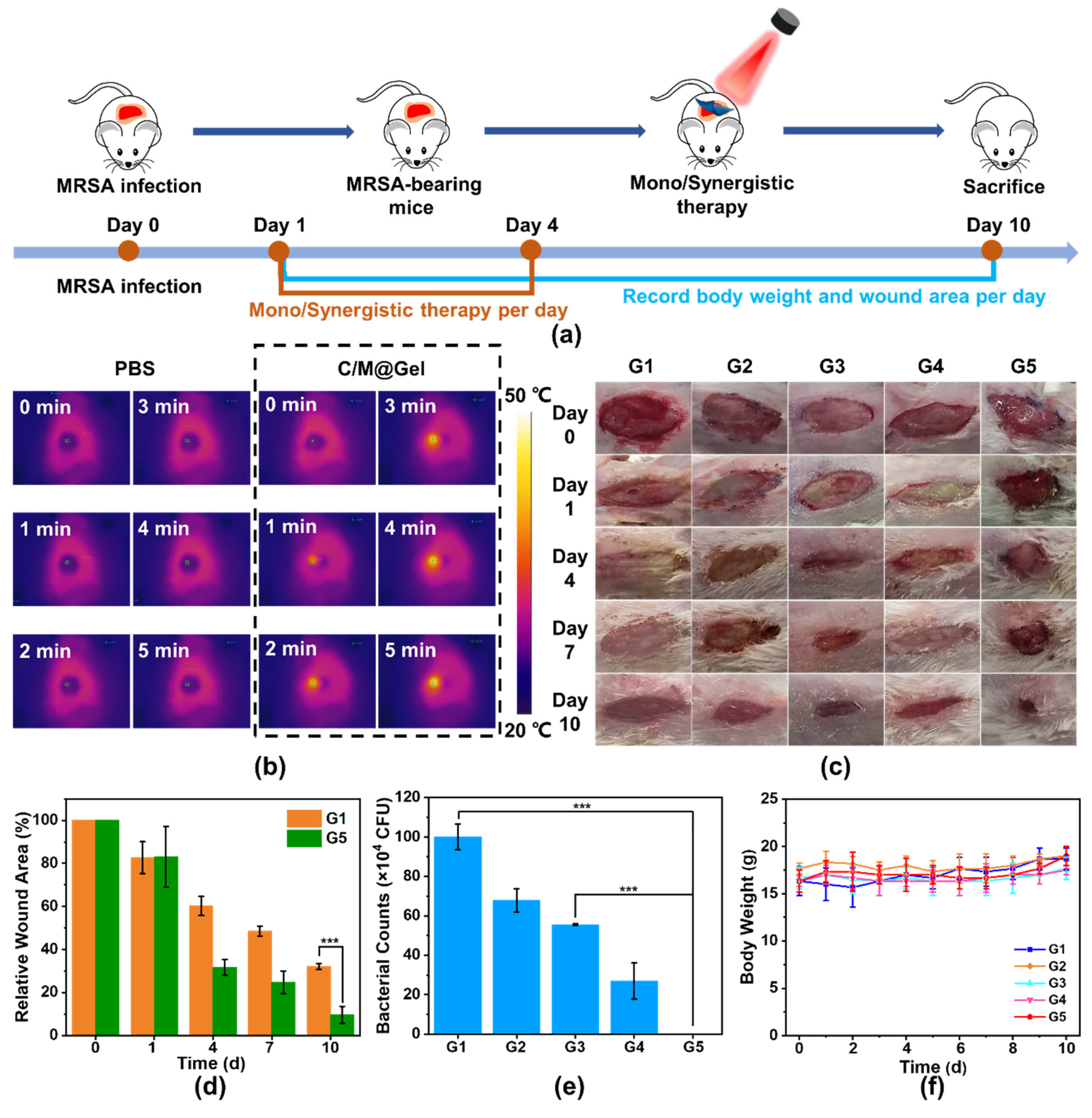 Futurepharmacol 03 00013 g005