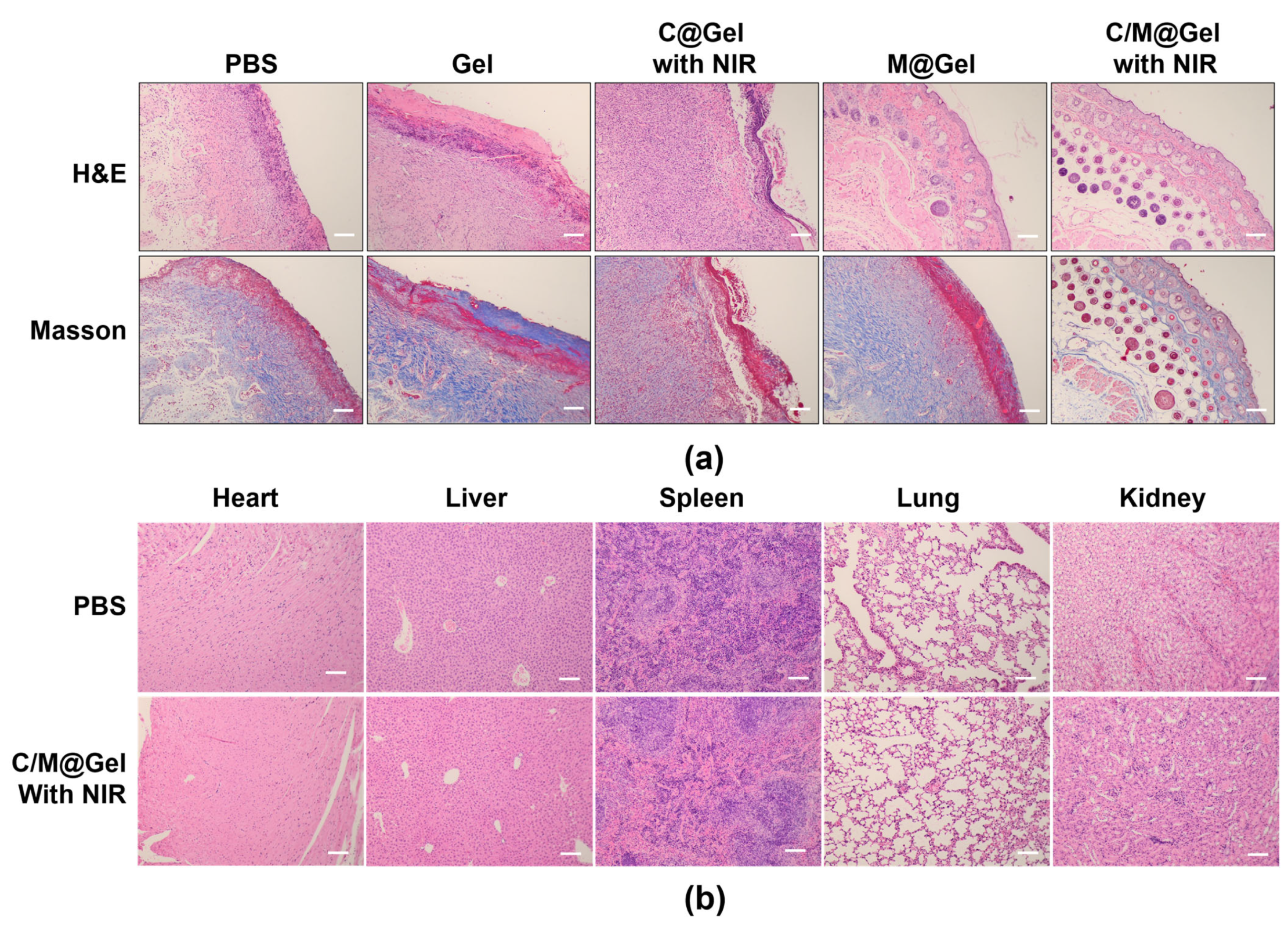 Futurepharmacol 03 00013 g006