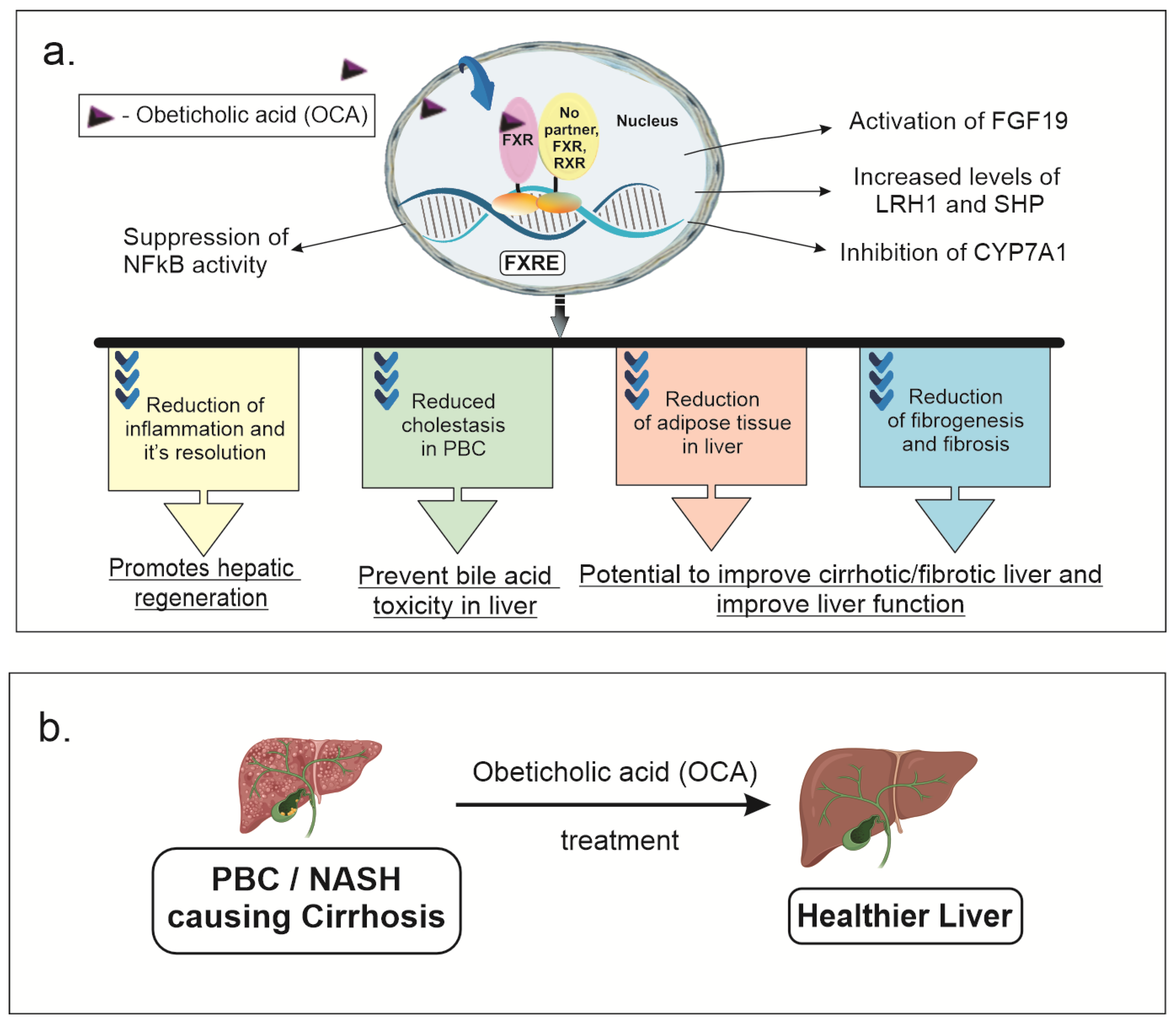 Futurepharmacol 03 00017 g001
