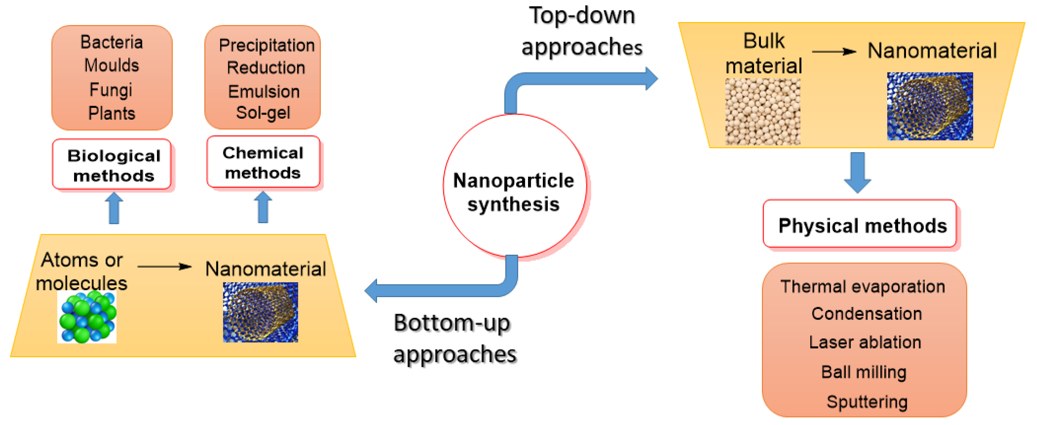 Futurepharmacol 03 00018 g002