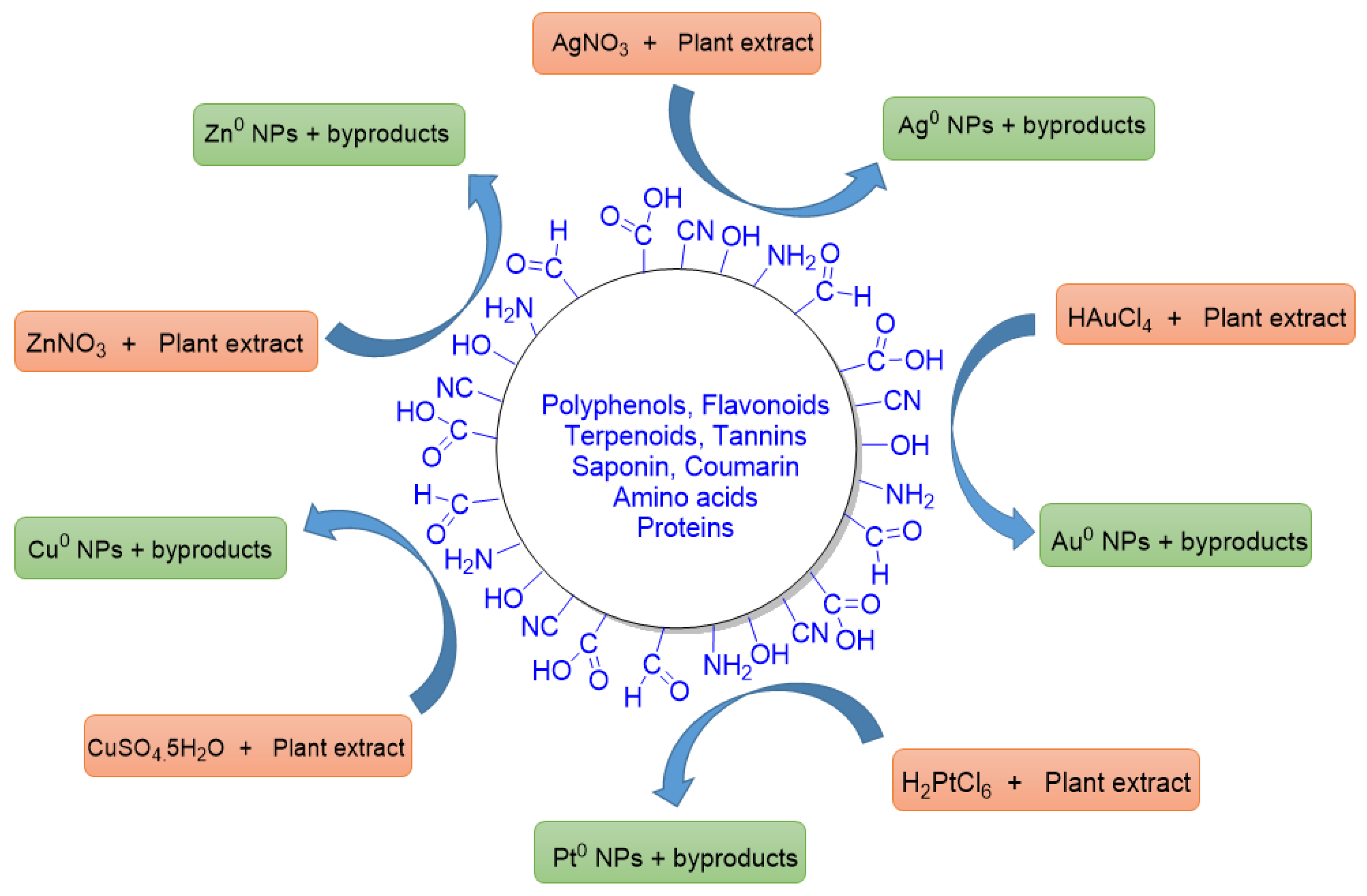Futurepharmacol 03 00018 g004