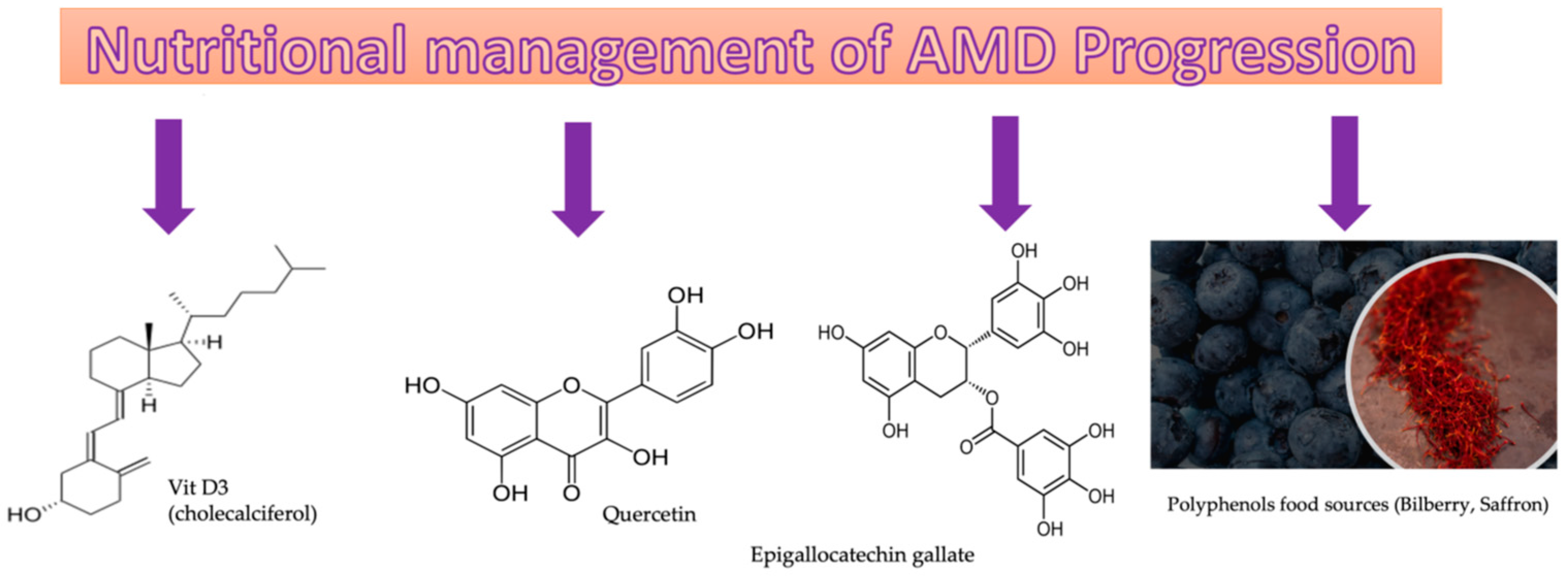 Futurepharmacol 03 00020 g002