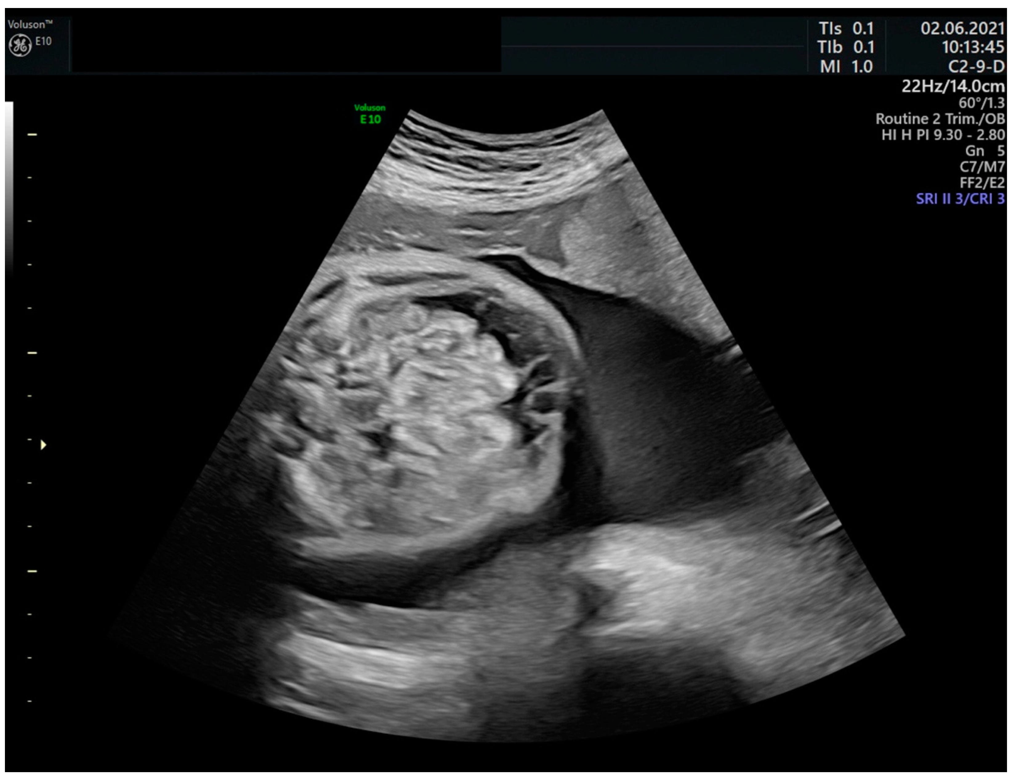 Futurepharmacol 03 00027 g002