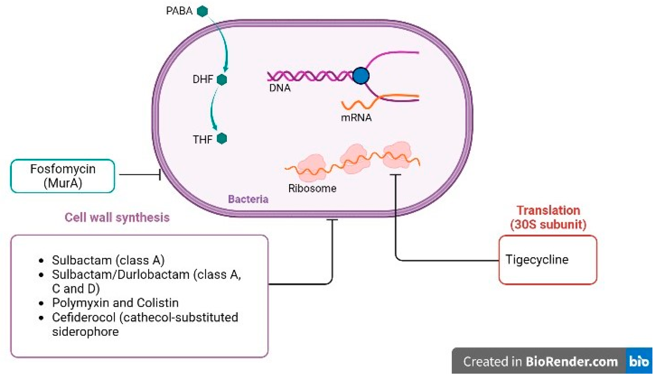 Futurepharmacol 03 00030 g001