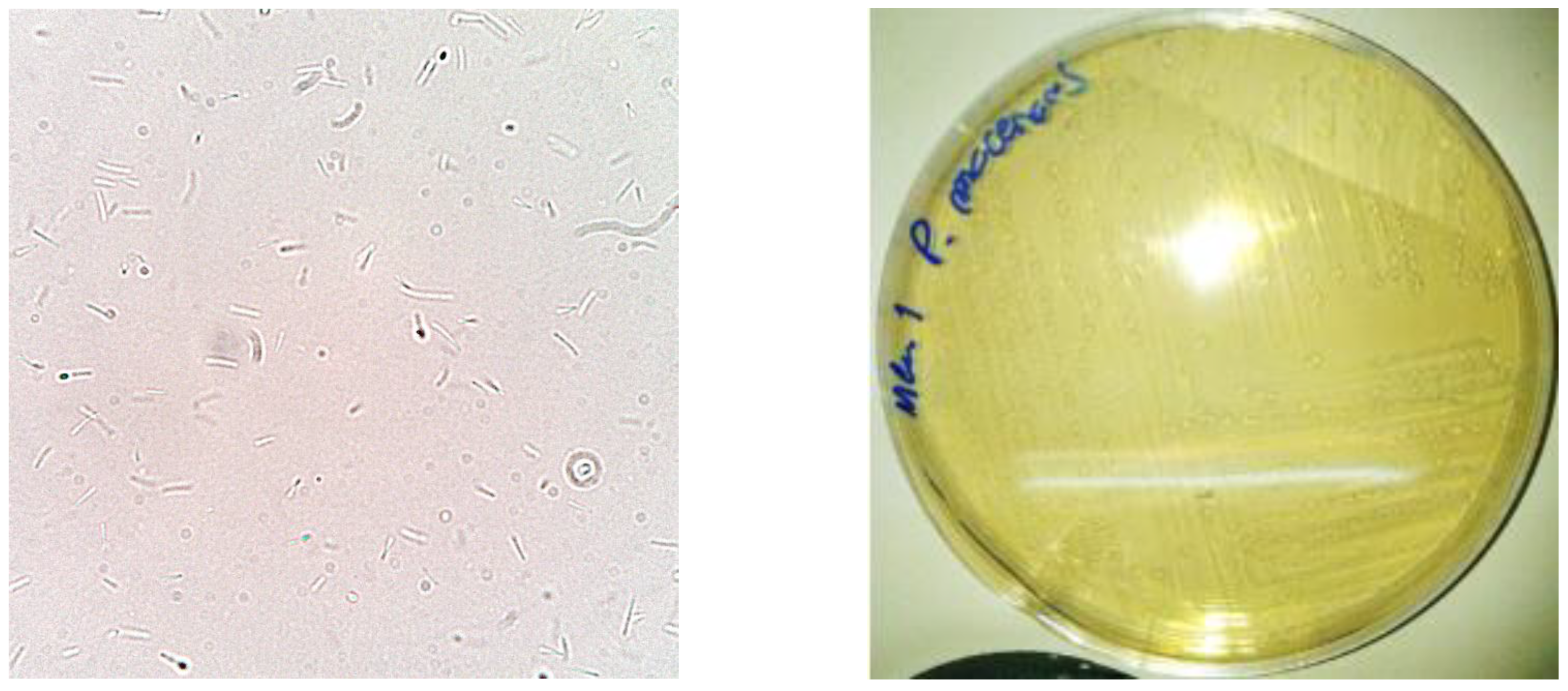 Futurepharmacol 03 00035 g005 Futurepharmacol 03 00035 g005