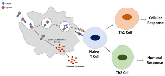 Futurepharmacol 03 00038 g002