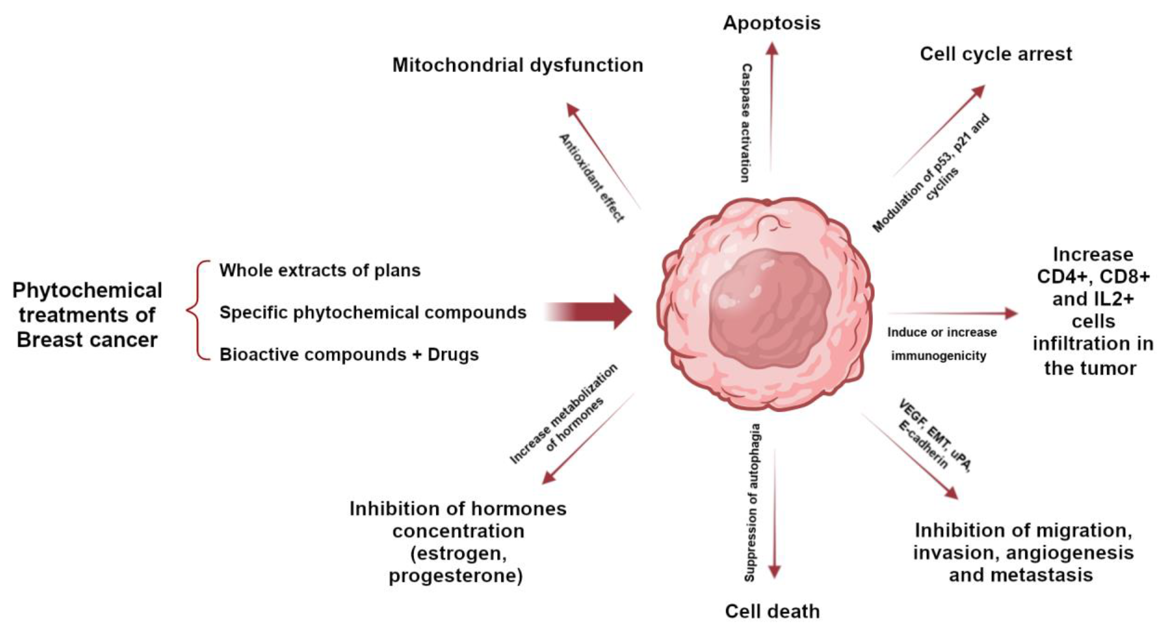 Futurepharmacol 03 00043 g001