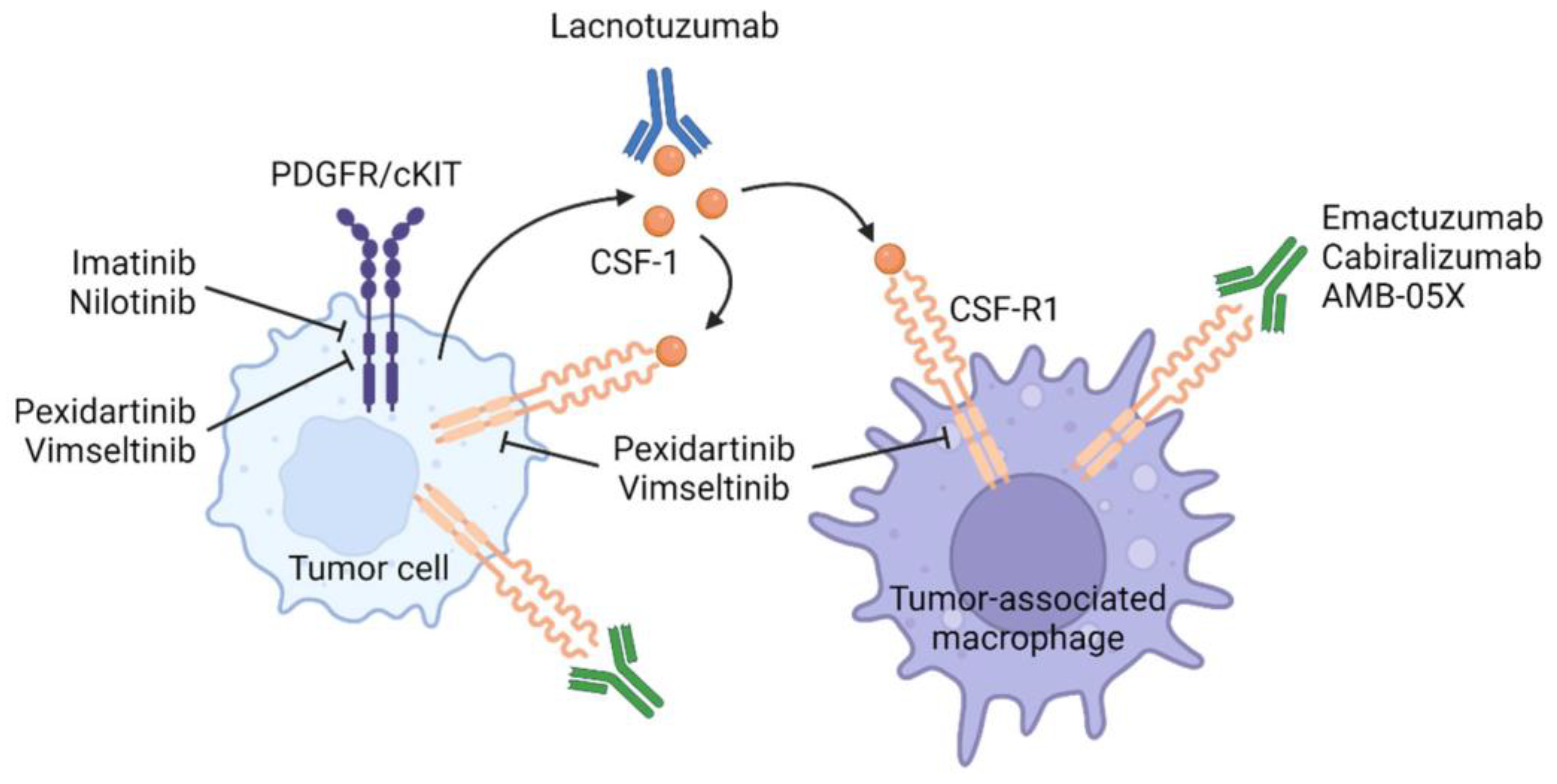 Futurepharmacol 03 00056 g001