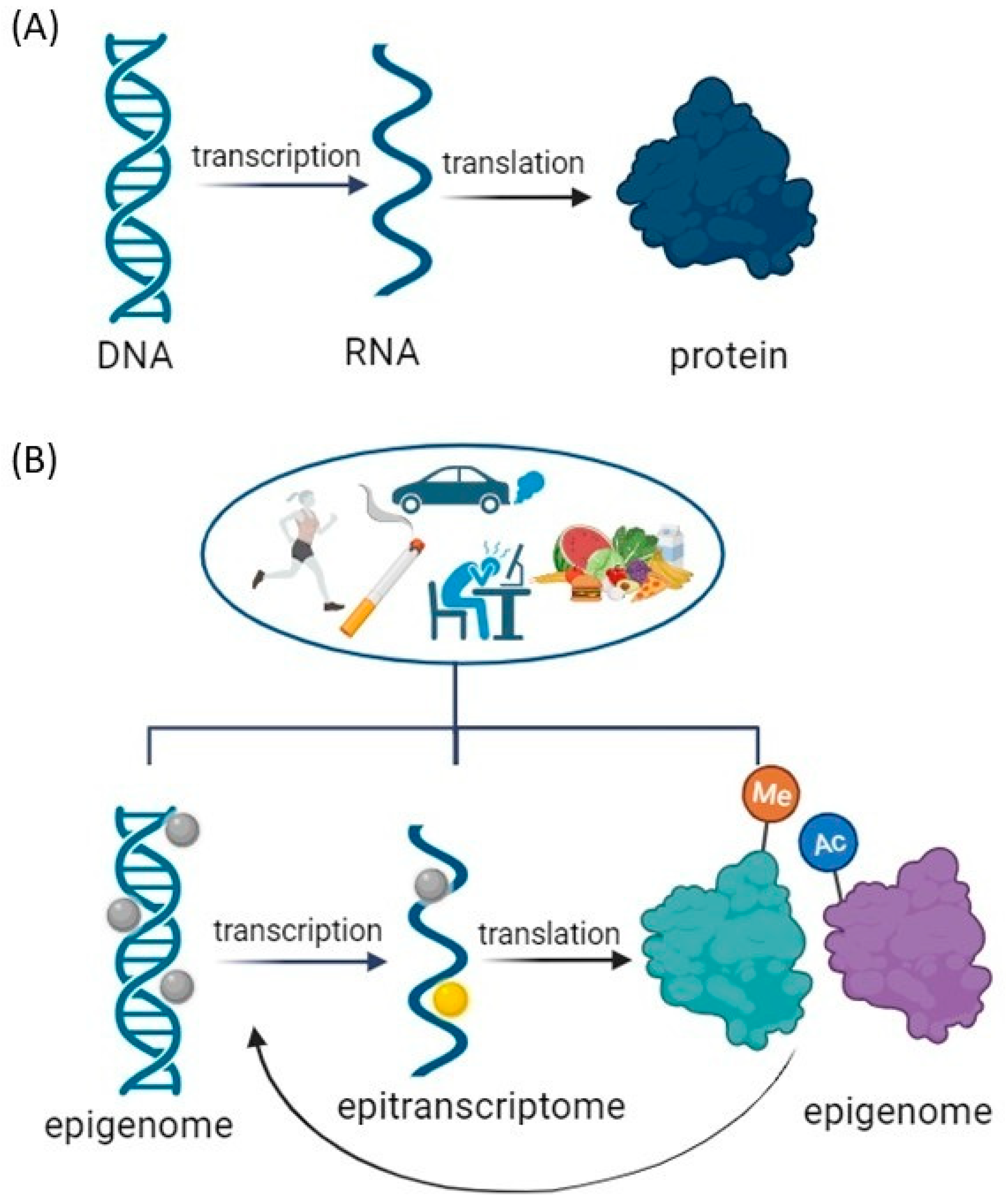 Futurepharmacol 04 00009 g001