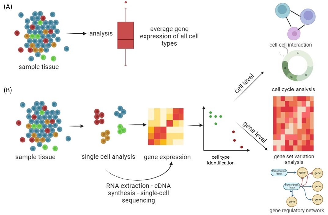 Futurepharmacol 04 00009 g002