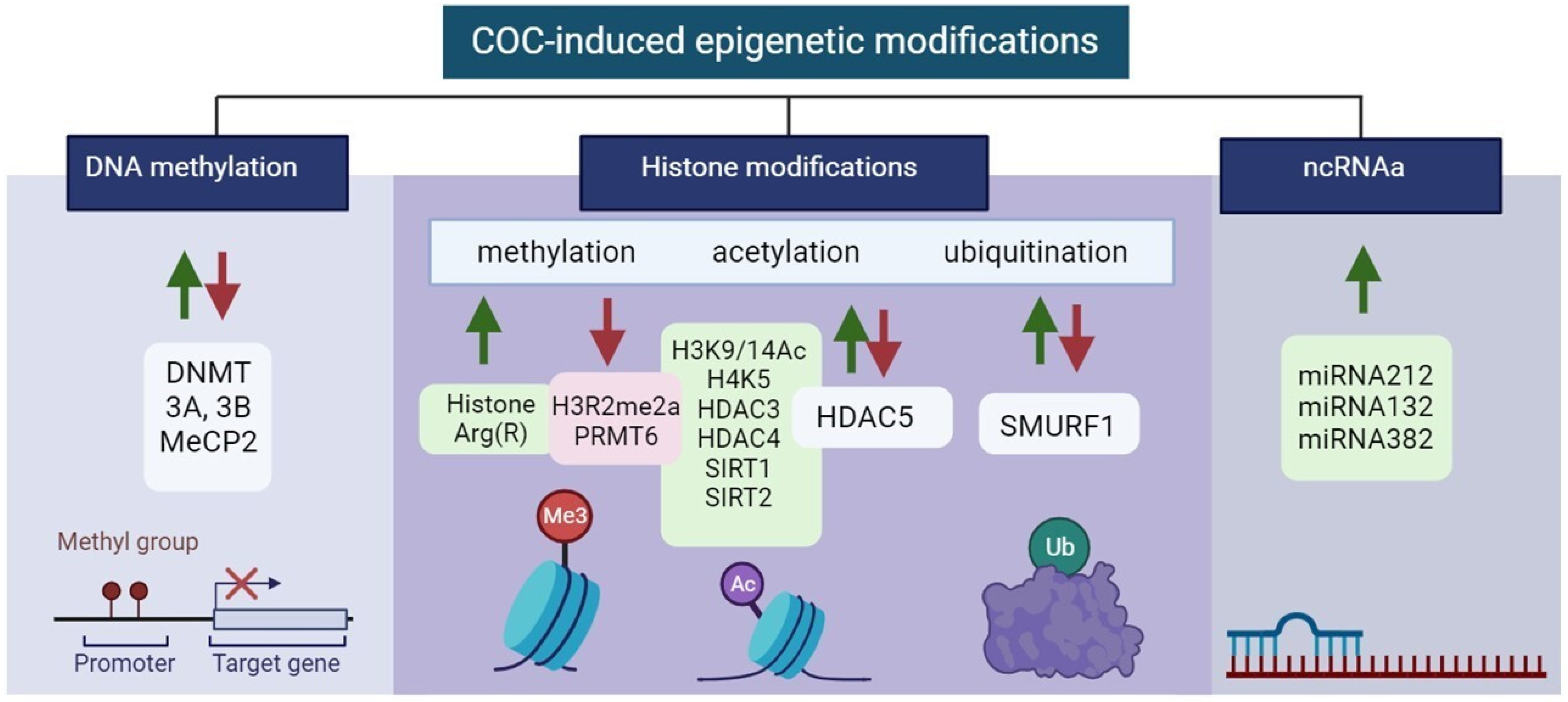 Futurepharmacol 04 00009 g003