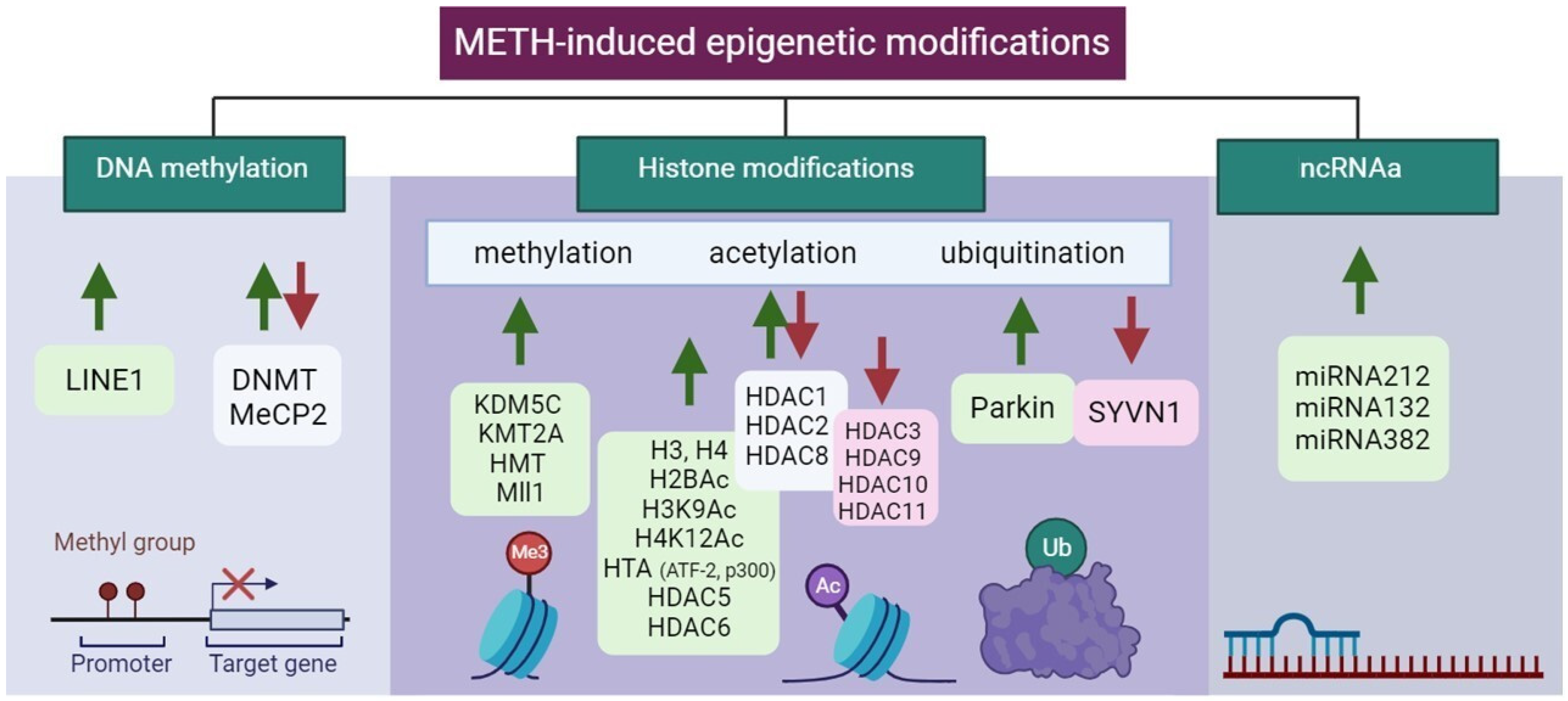 Futurepharmacol 04 00009 g004