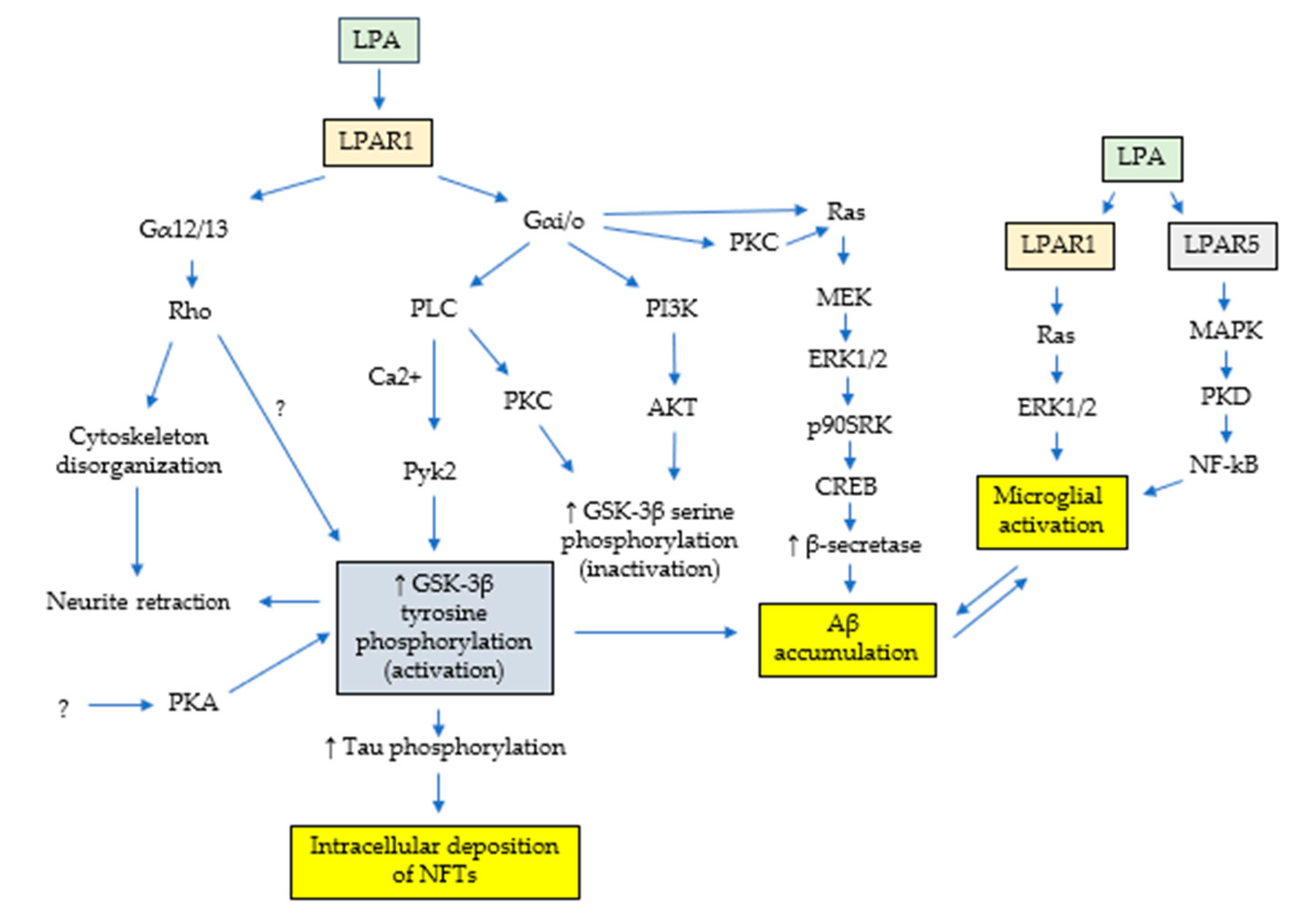 Futurepharmacol 04 00014 g003 Futurepharmacol 04 00014 g003